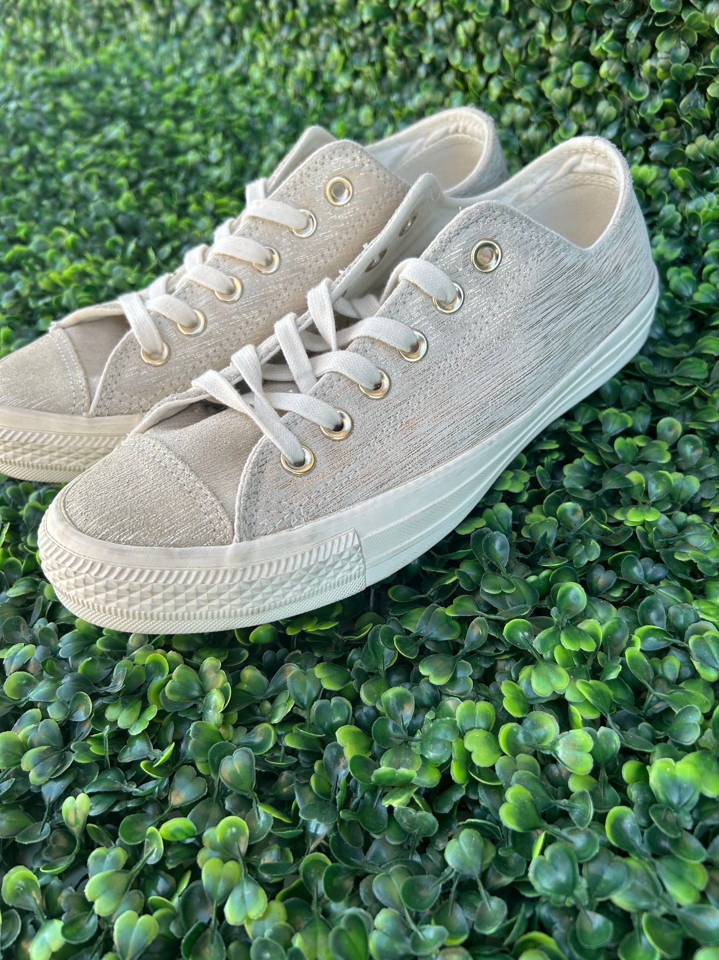 Converse size 8