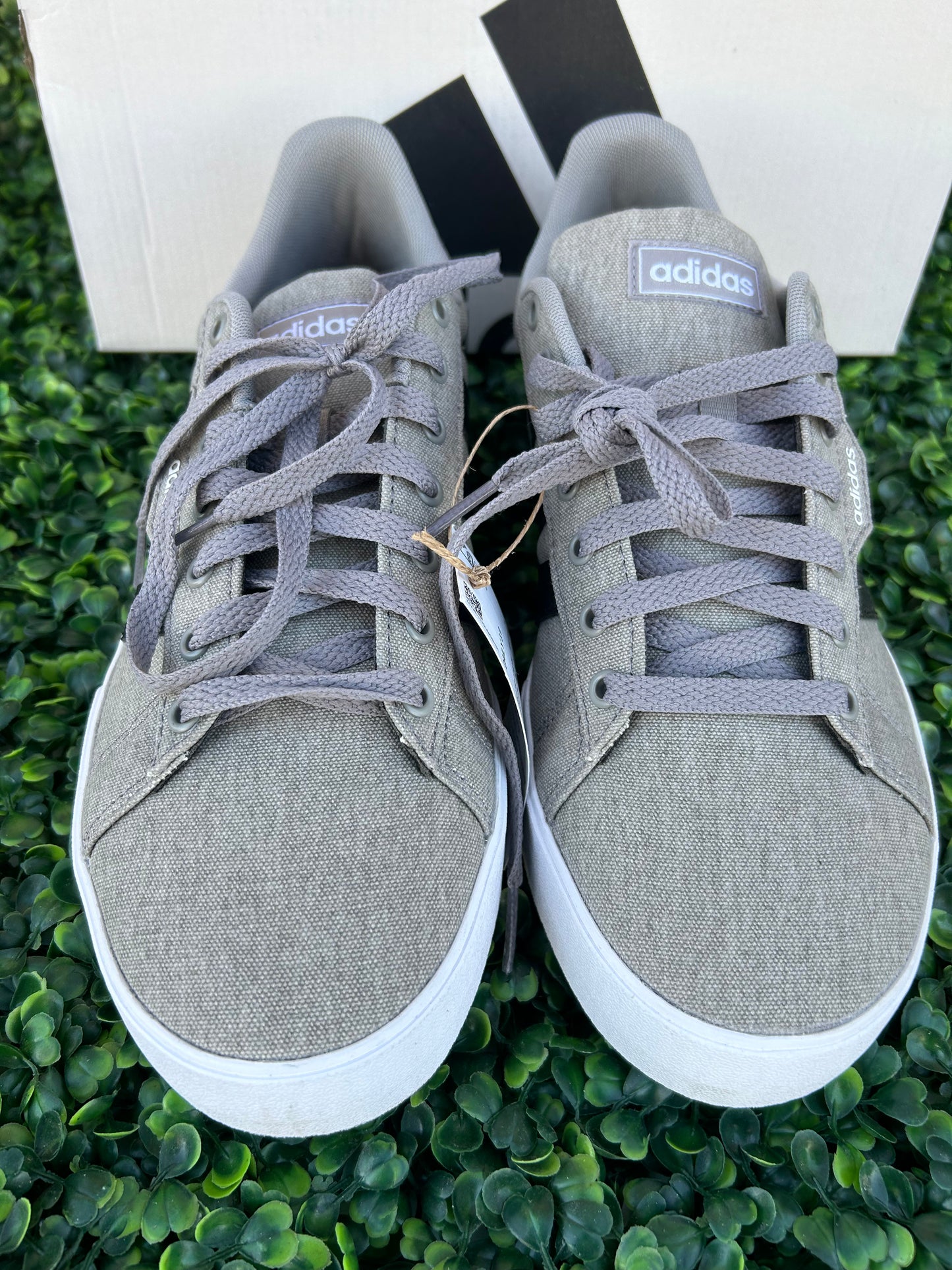 Adidas daily 3.0 size 8