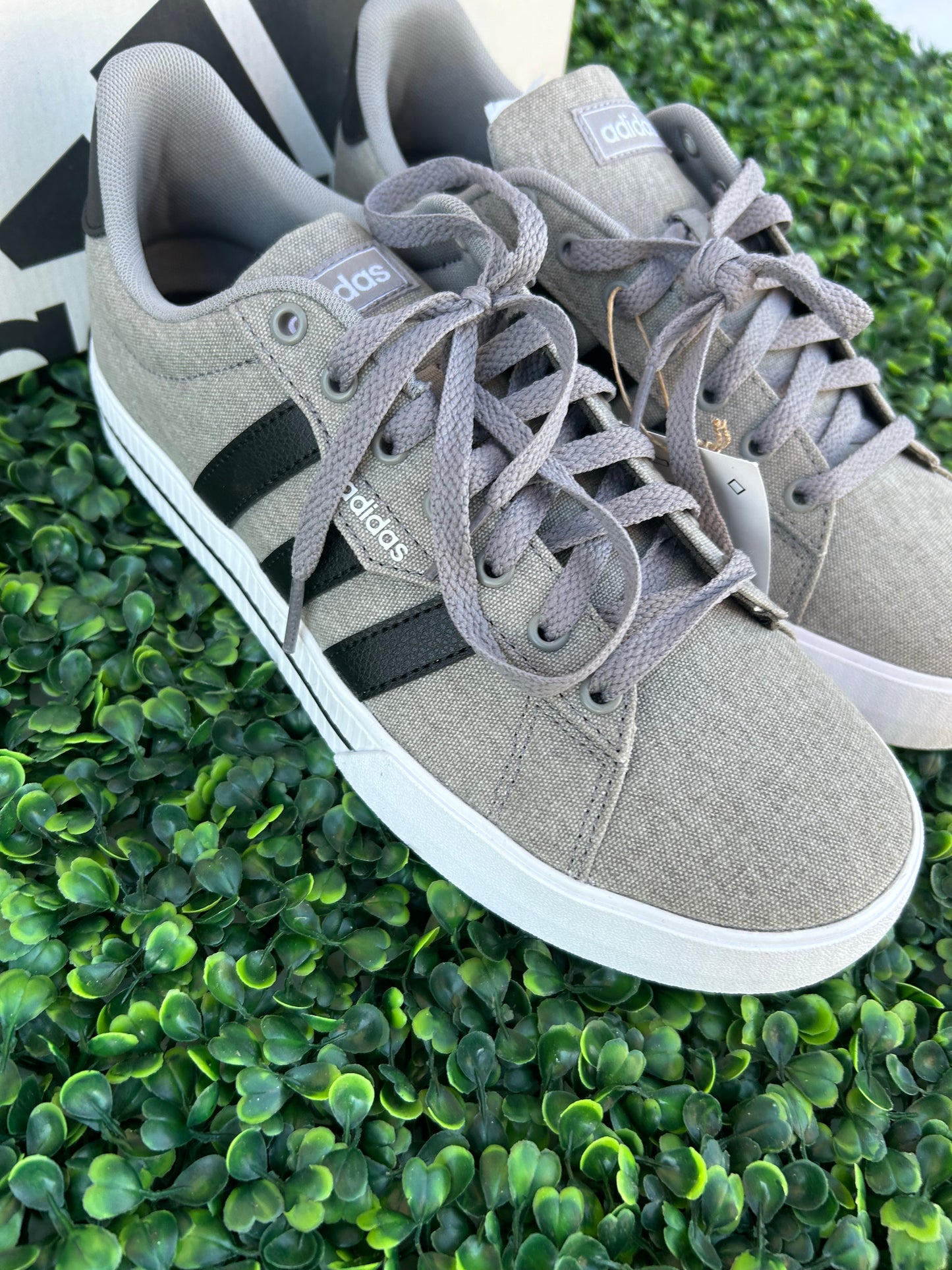 Adidas daily 3.0 size 8