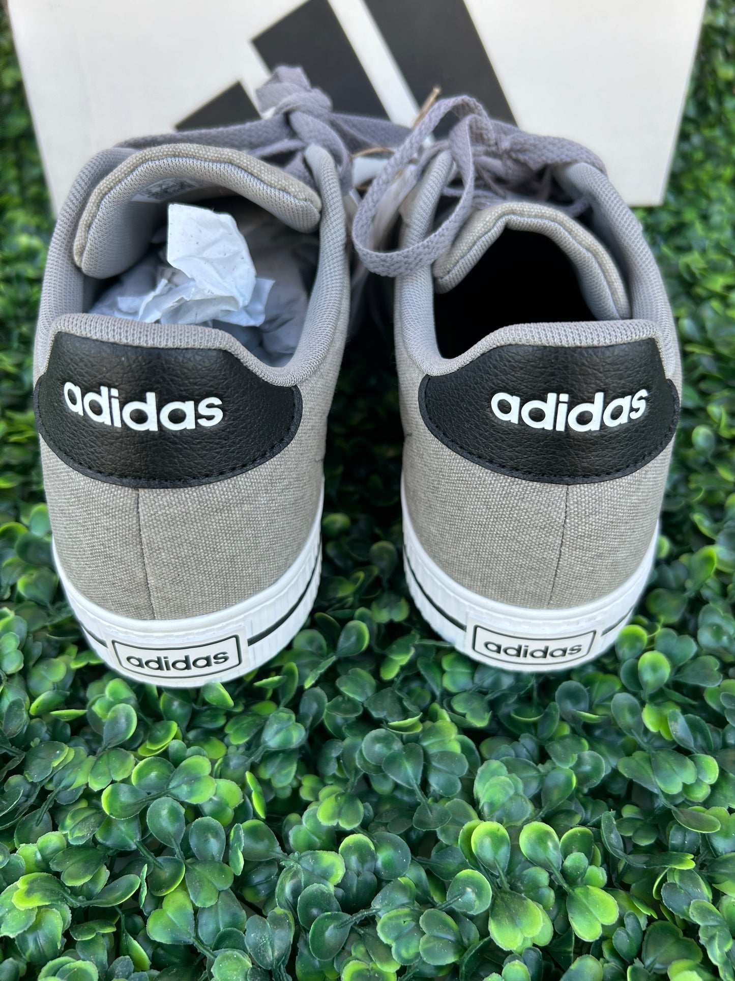 Adidas daily 3.0 size 8