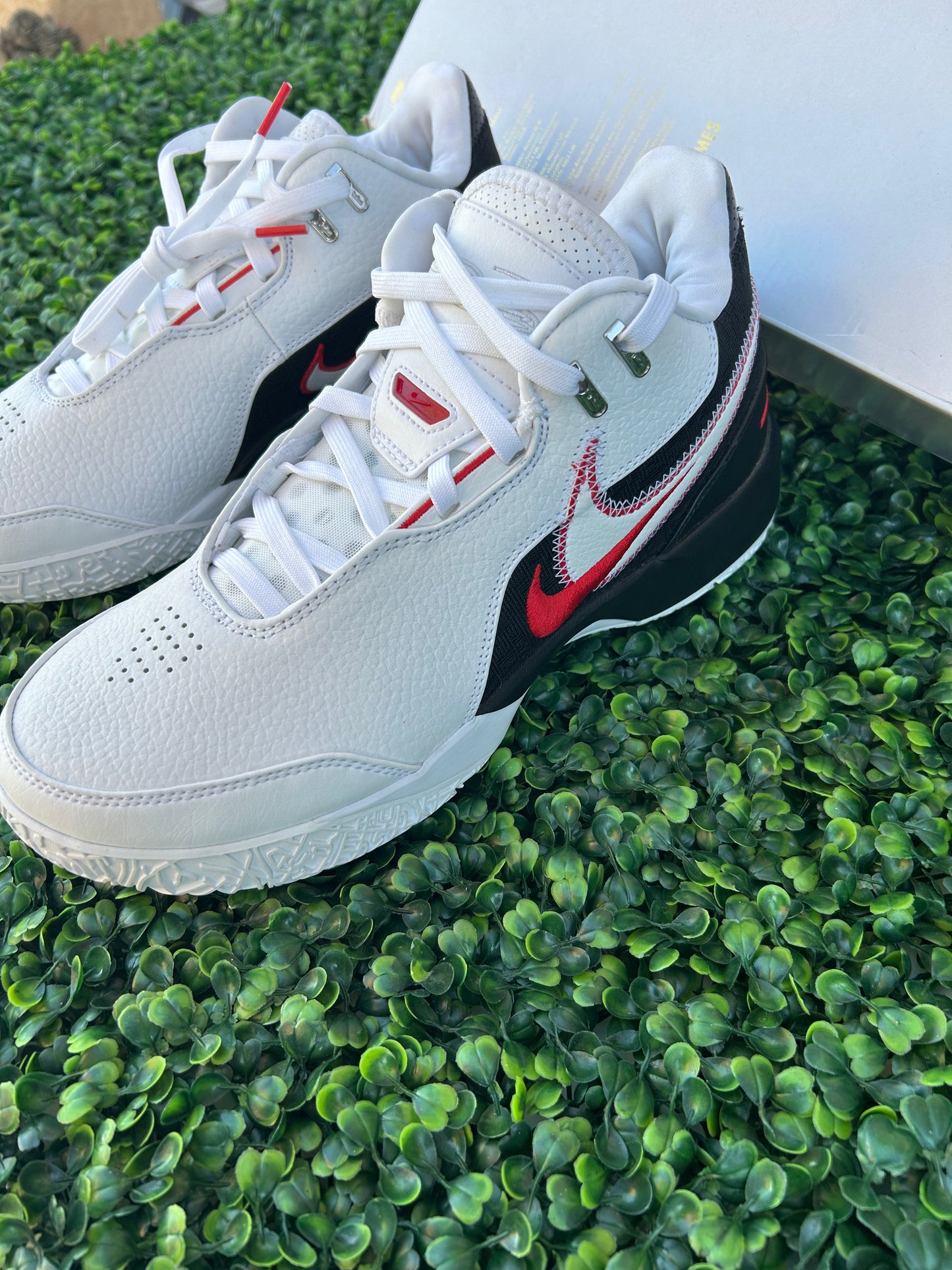 Nike Lebron size 9