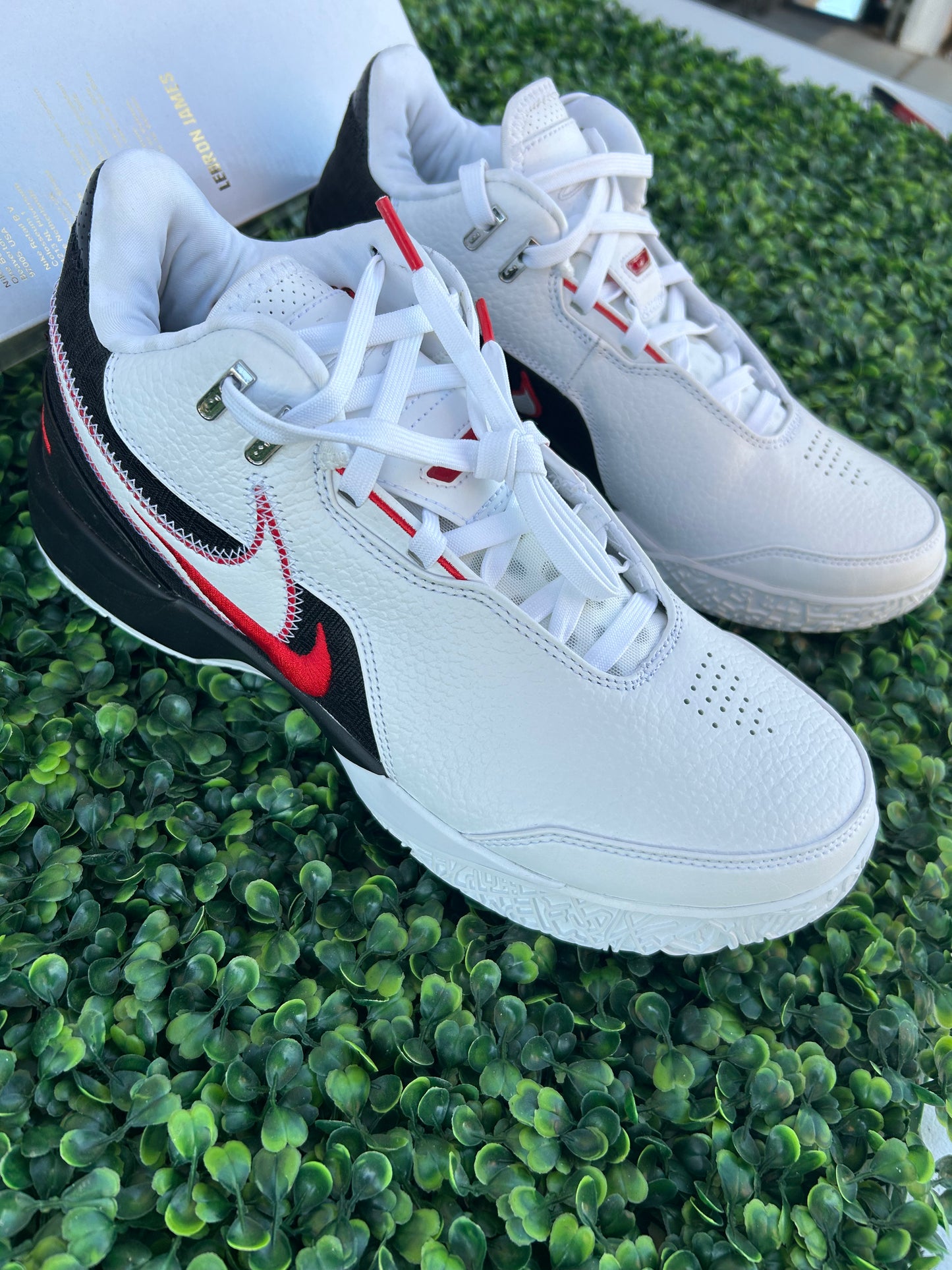 Nike Lebron size 9