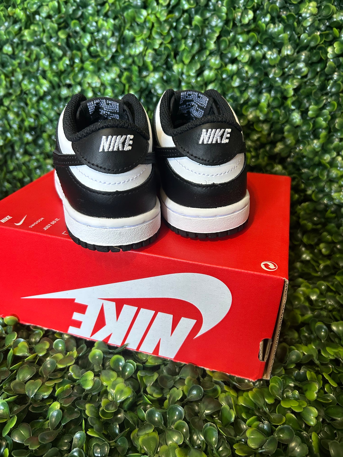 Nike dunk