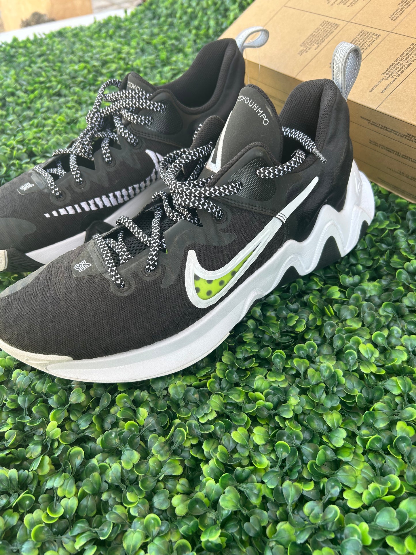 Nike Giannis size 10