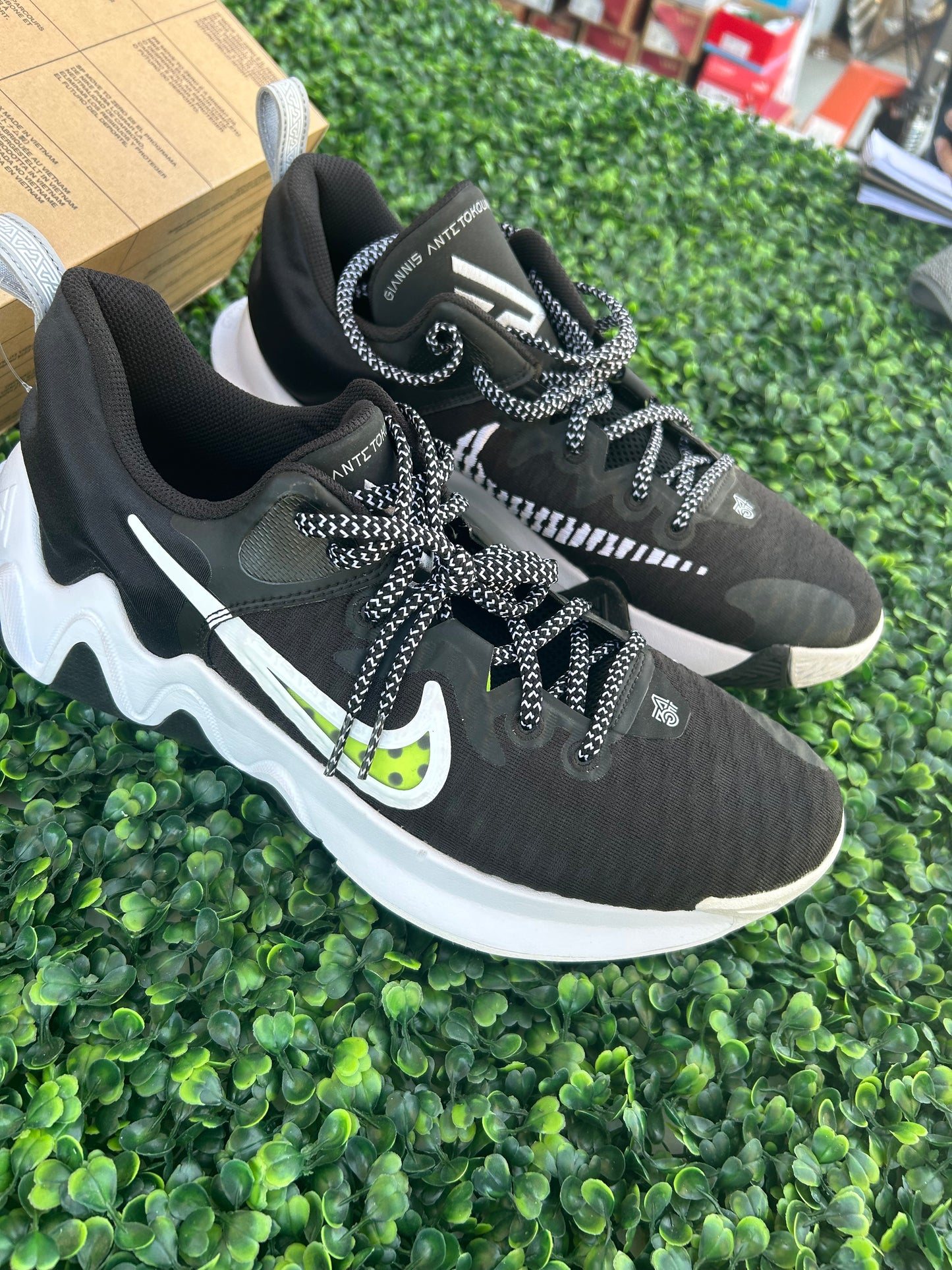 Nike Giannis size 10