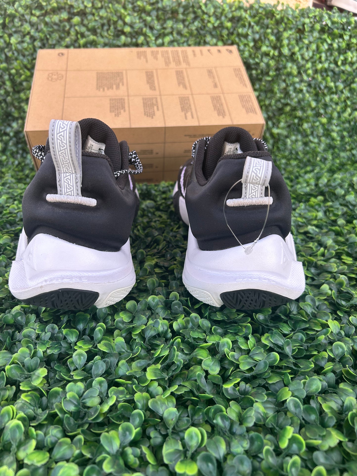 Nike Giannis size 10