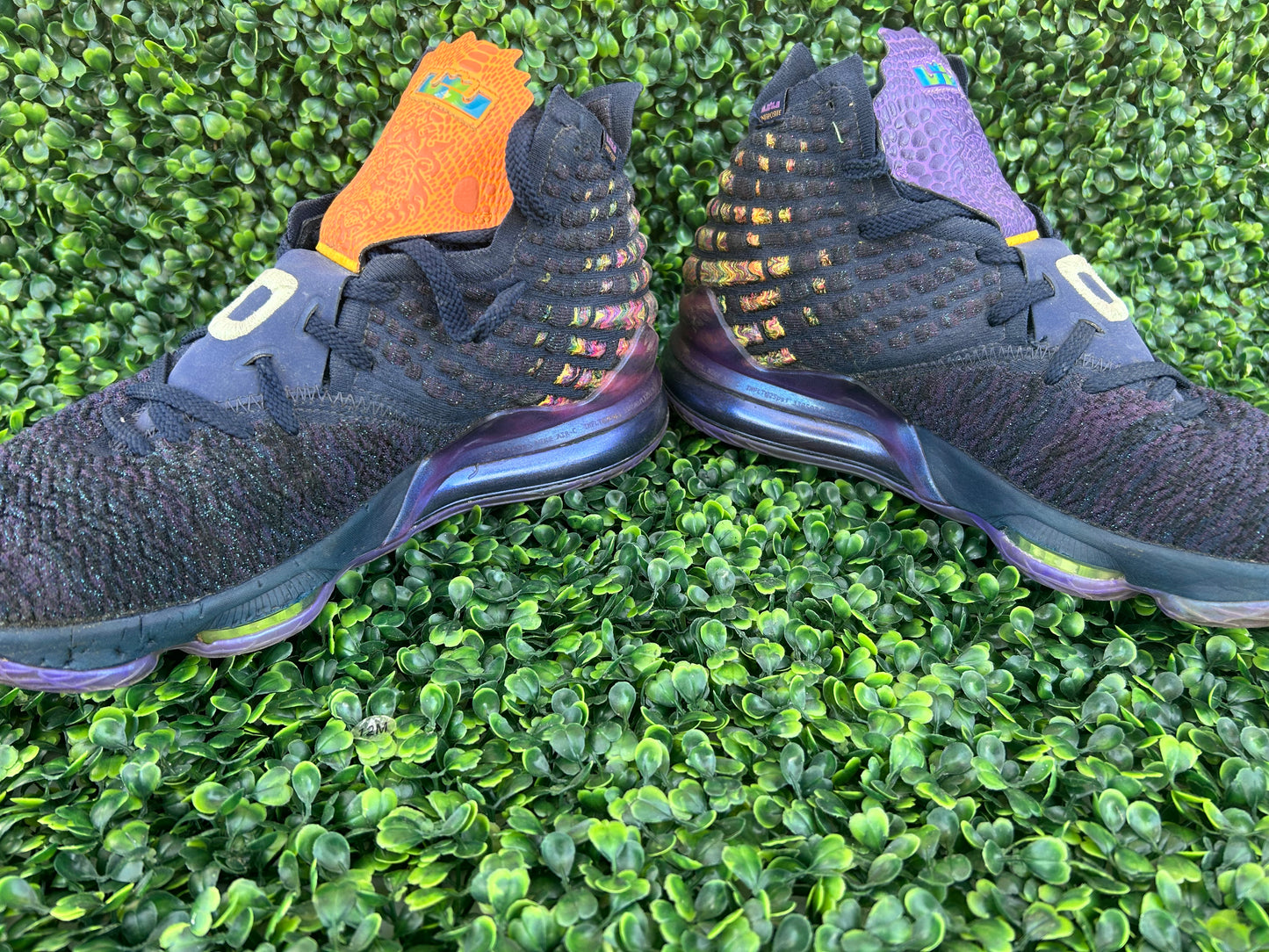 Nike Lebron monstars space jam size 10