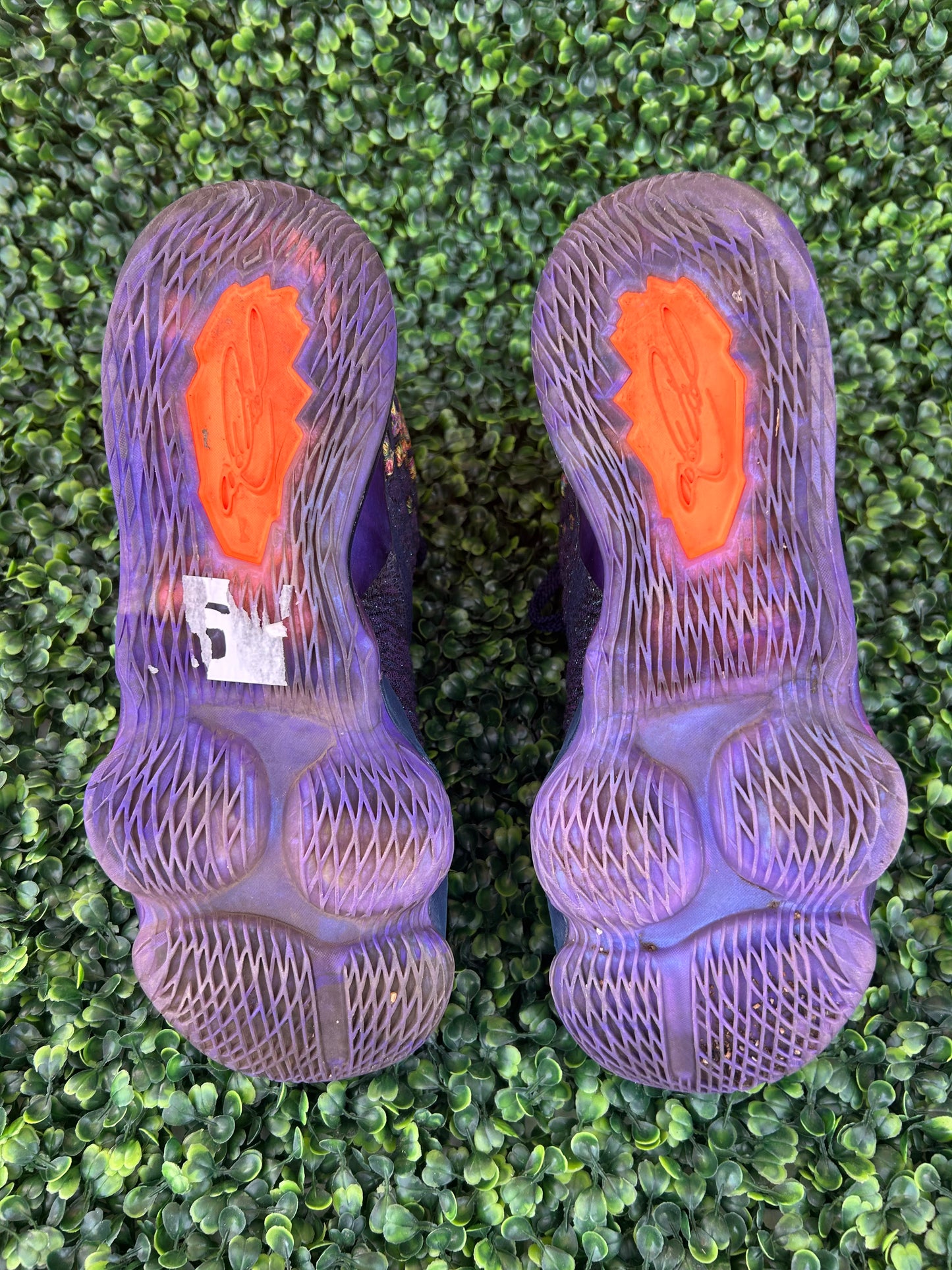 Nike Lebron monstars space jam size 10