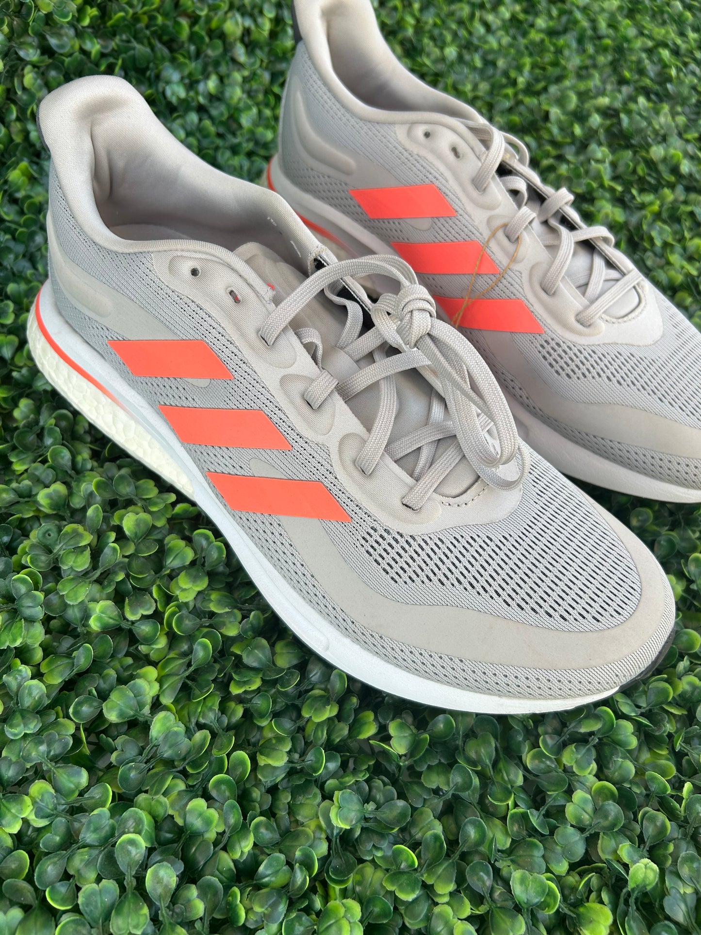 Adidas supernova size 10