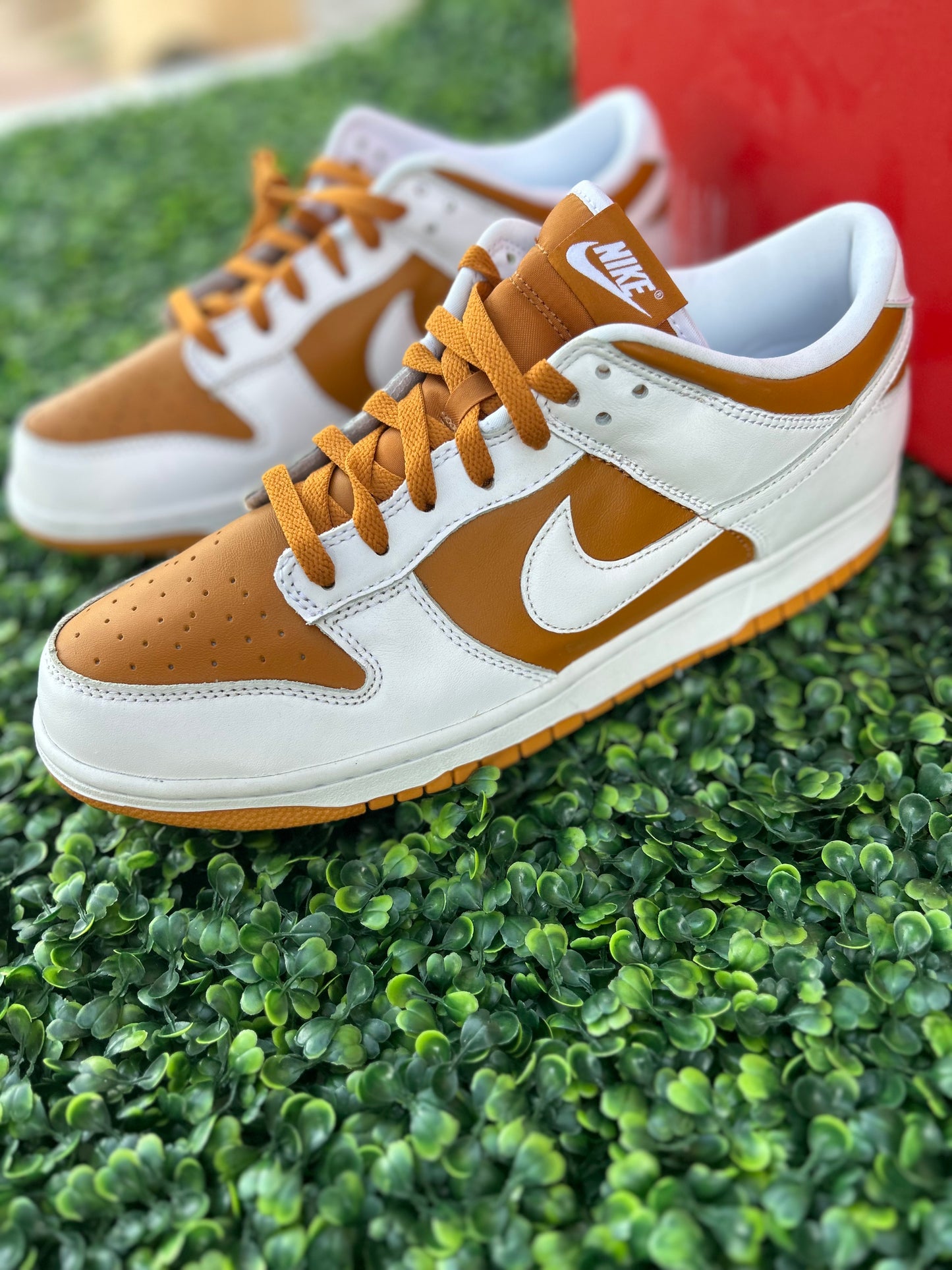 Nike dunk size 11.5