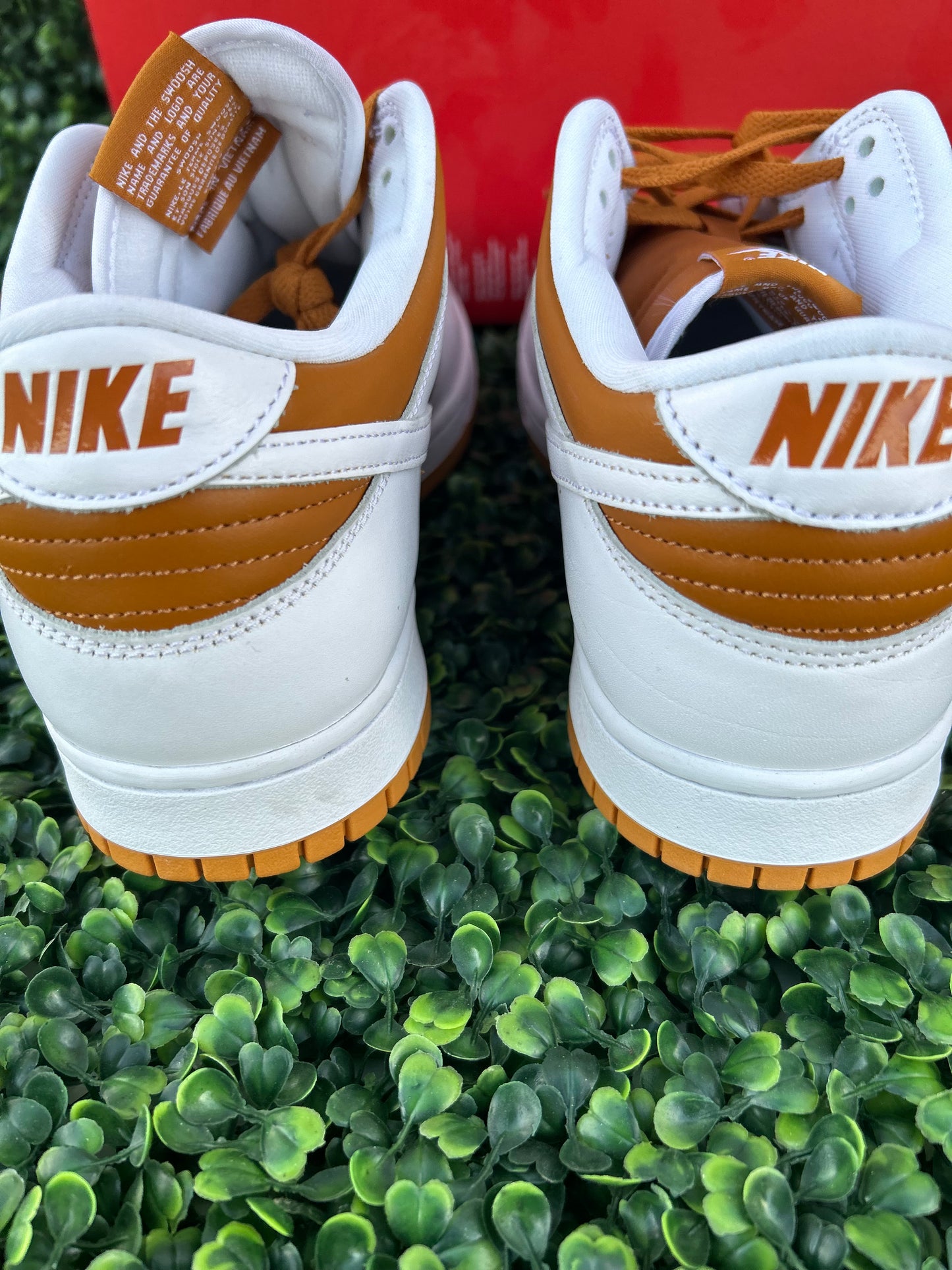 Nike dunk size 11.5