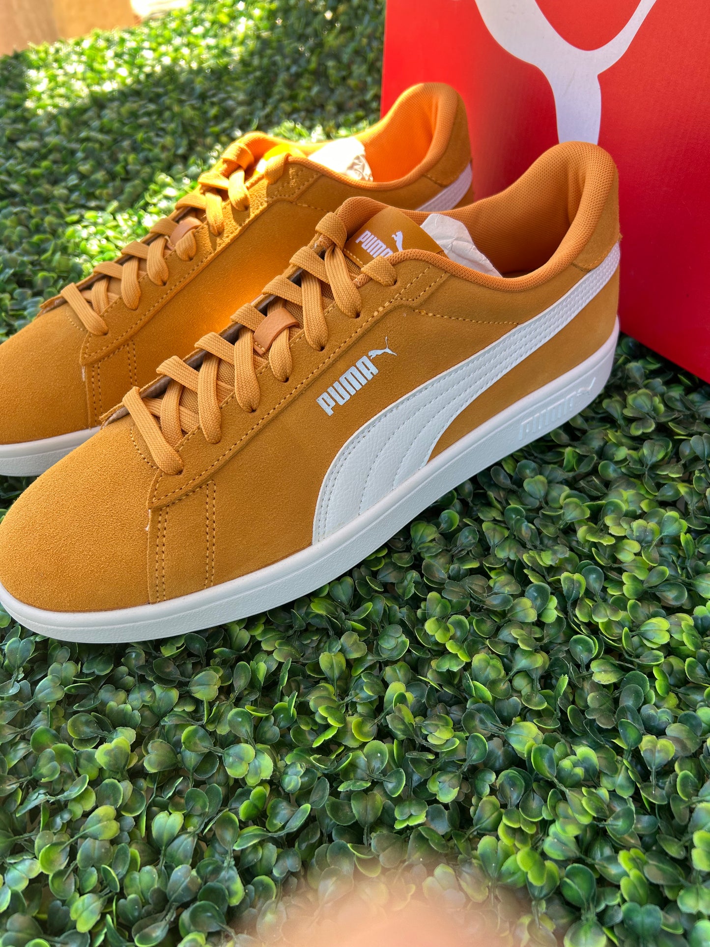 Puma smash 3.0 size 11