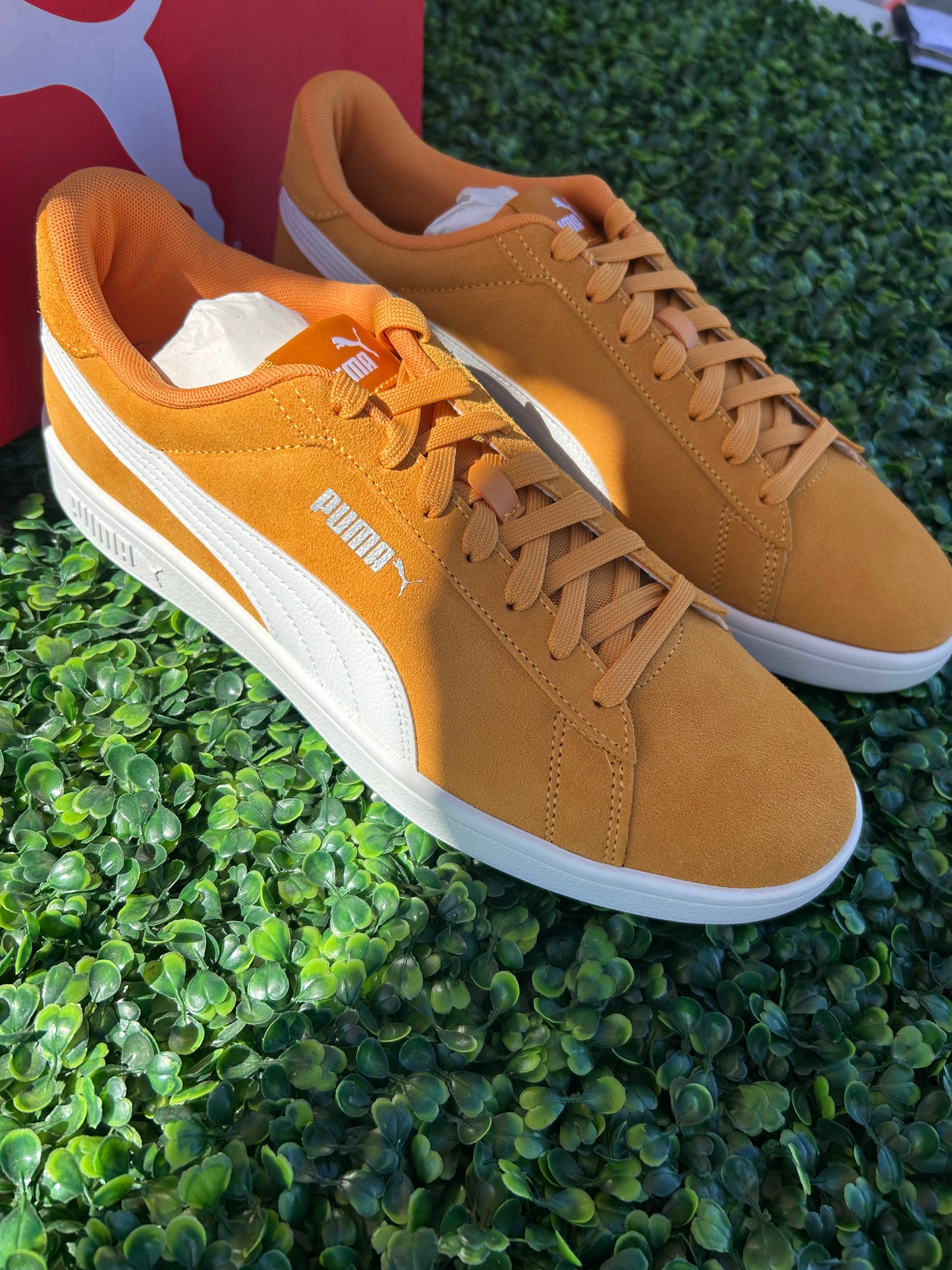 Puma smash 3.0 size 11