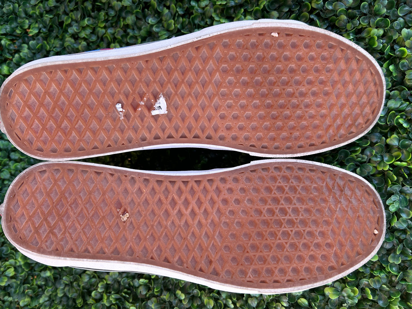 Vans awake size 13