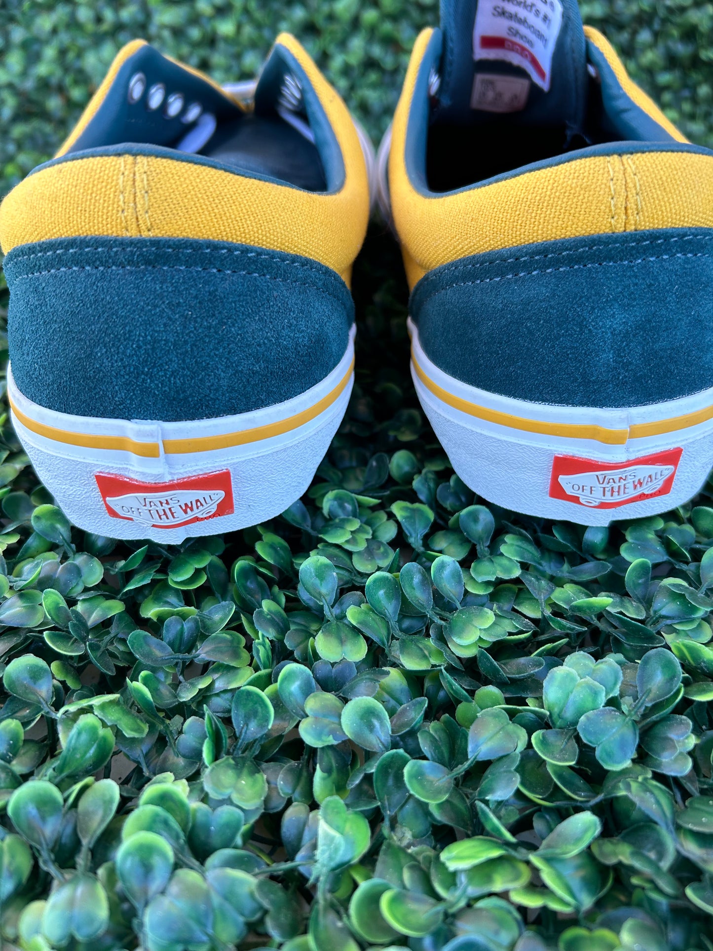 Vans era pro size 10