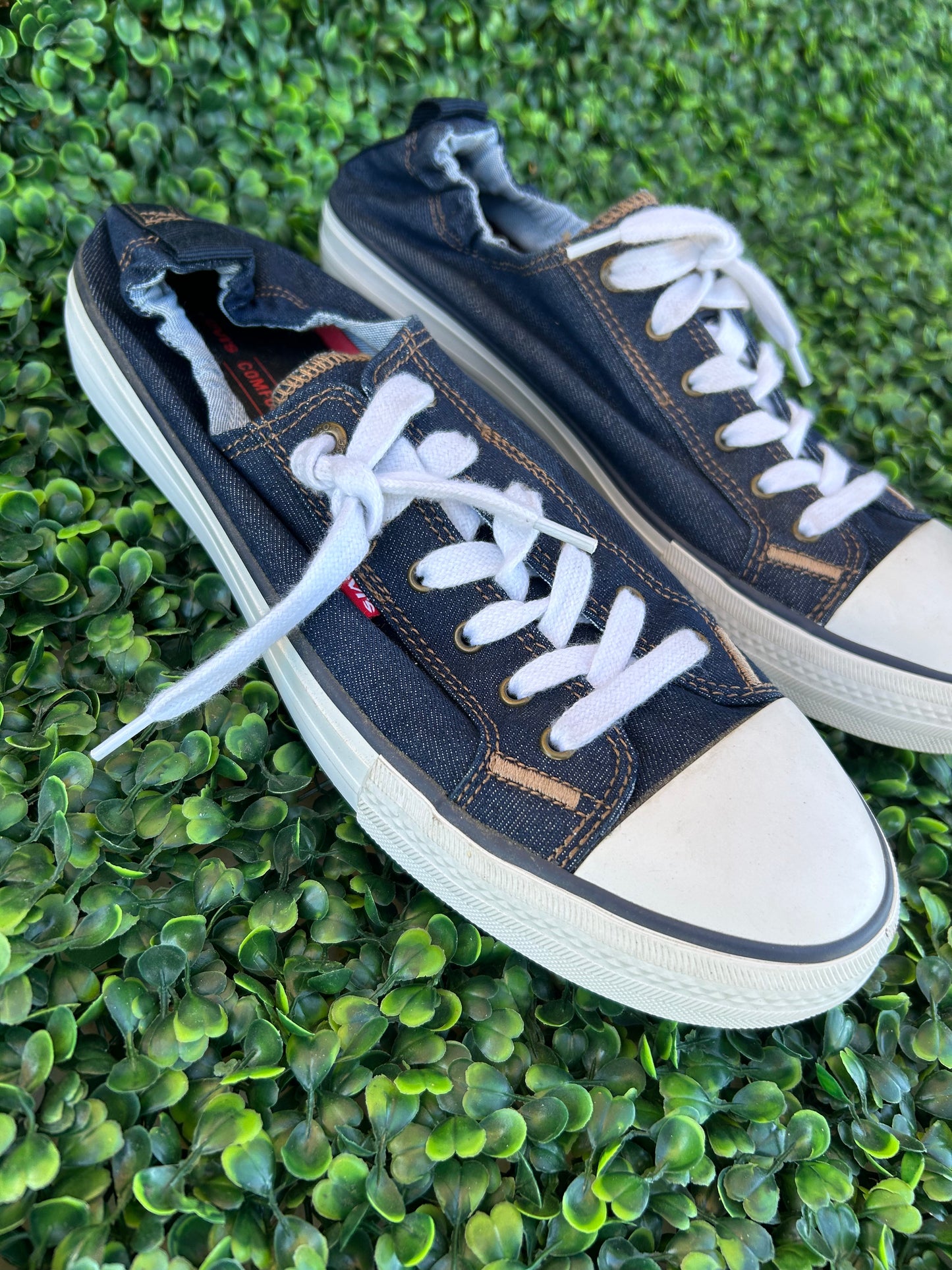 levis canvas size 10