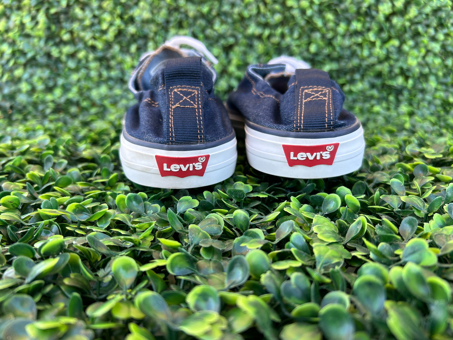levis canvas size 10