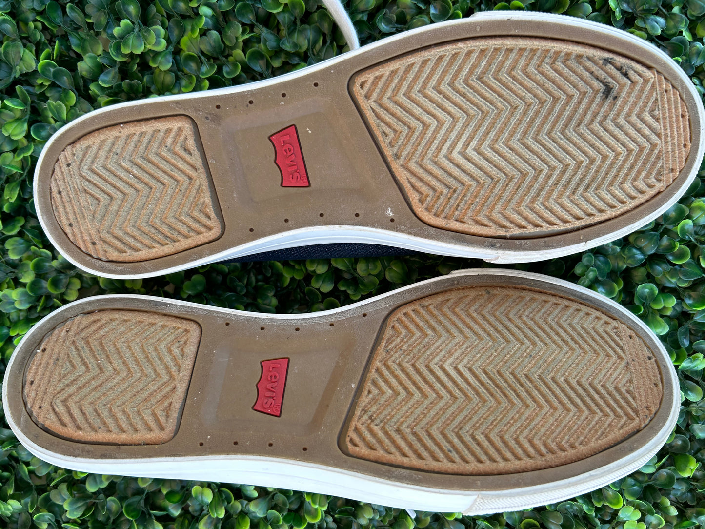 levis canvas size 10