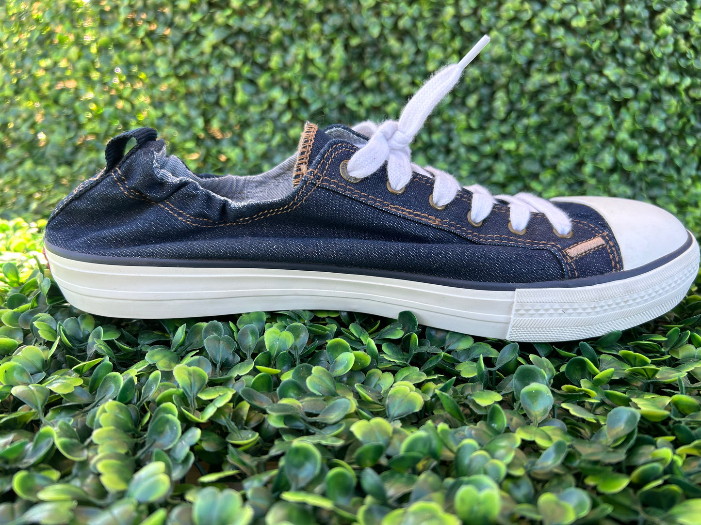 levis canvas size 10