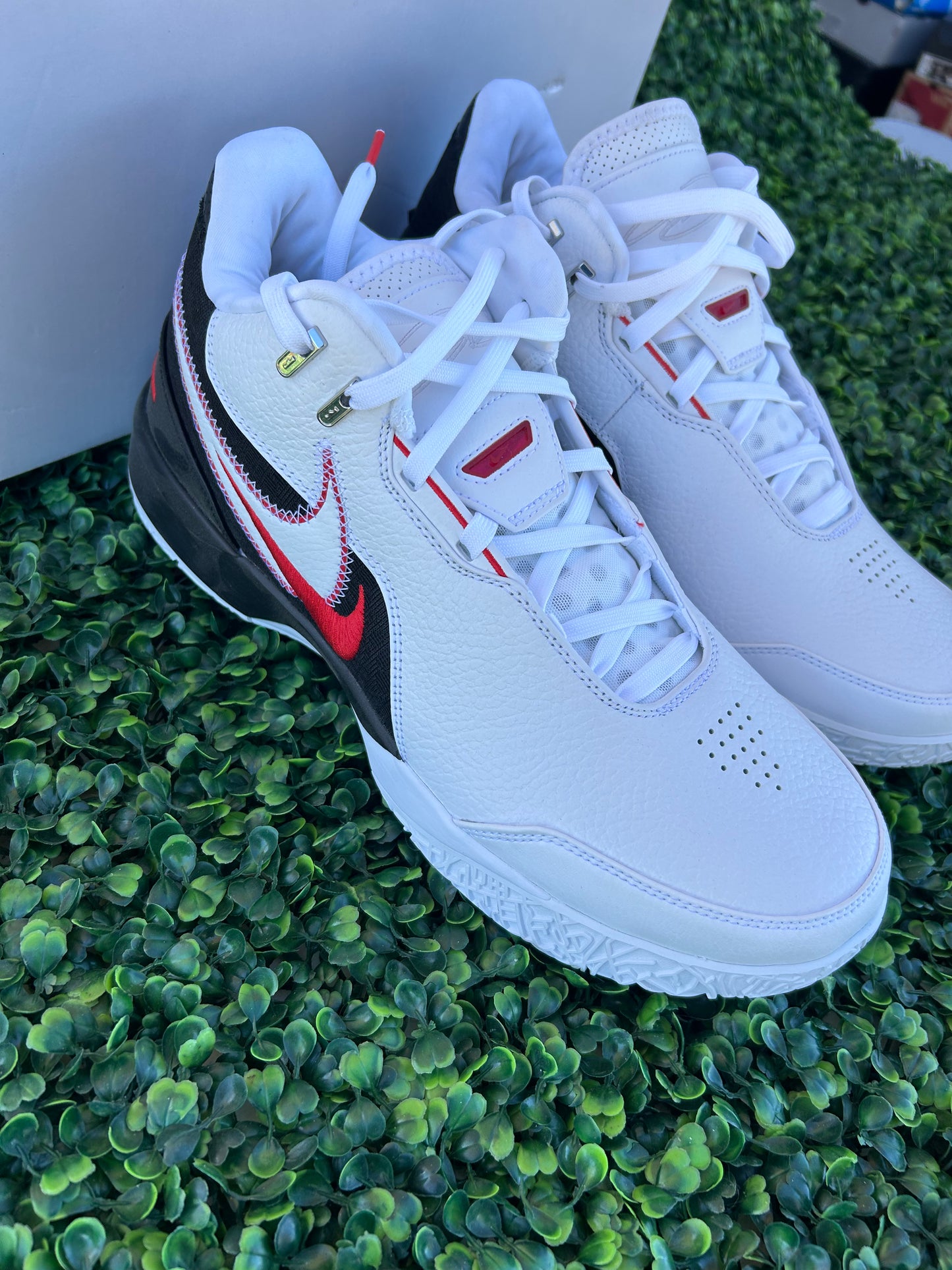 Nike lebron size 12m