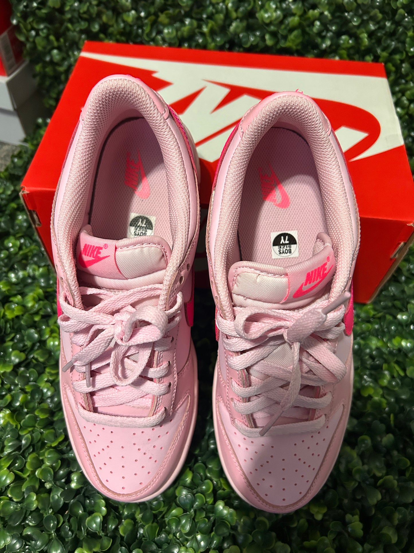 Nike dunk