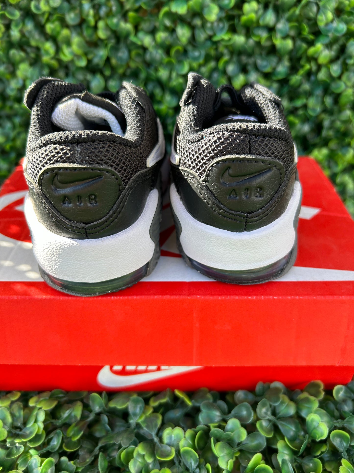Nike air max size 6c