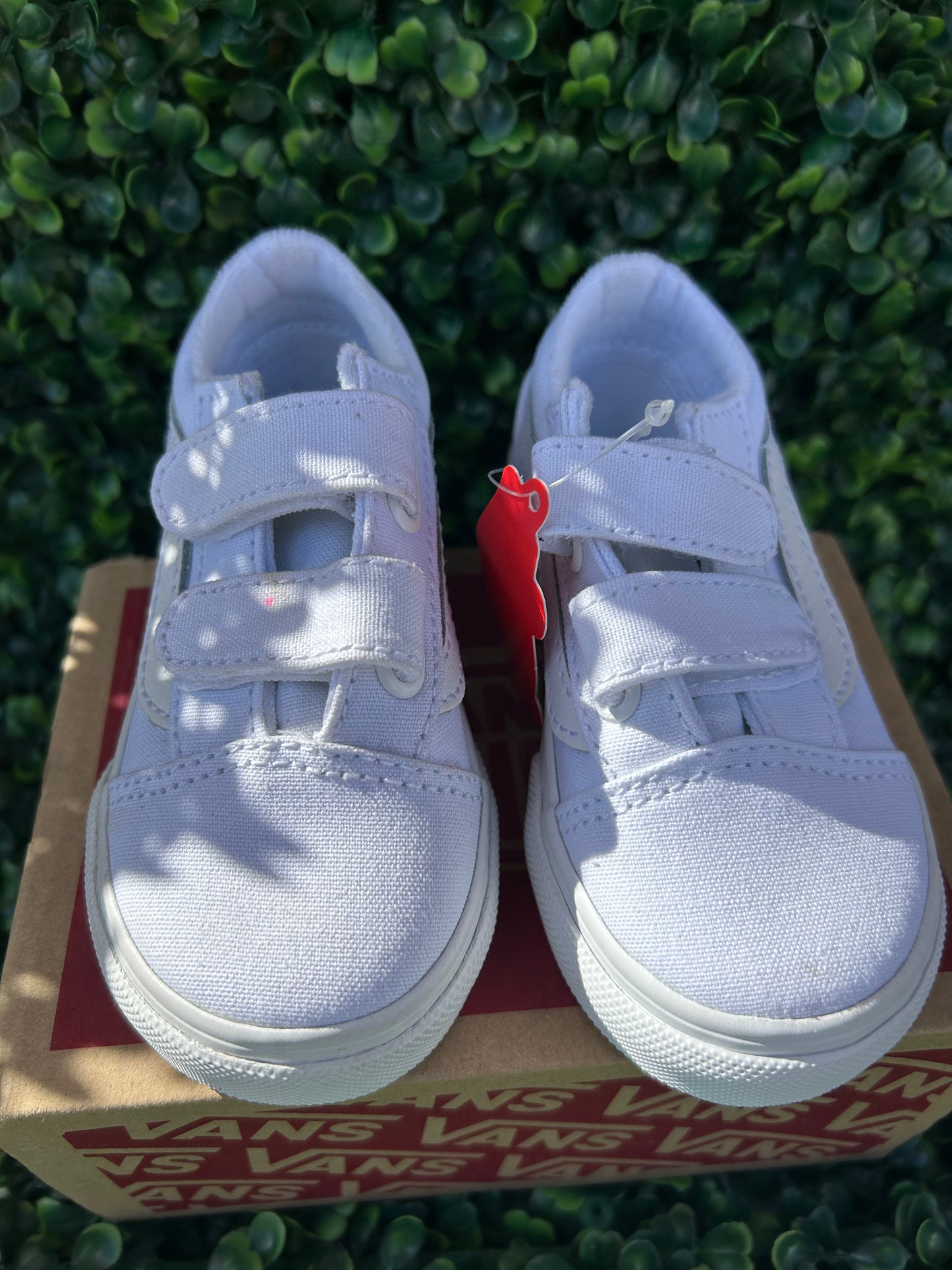 Vans size 6t