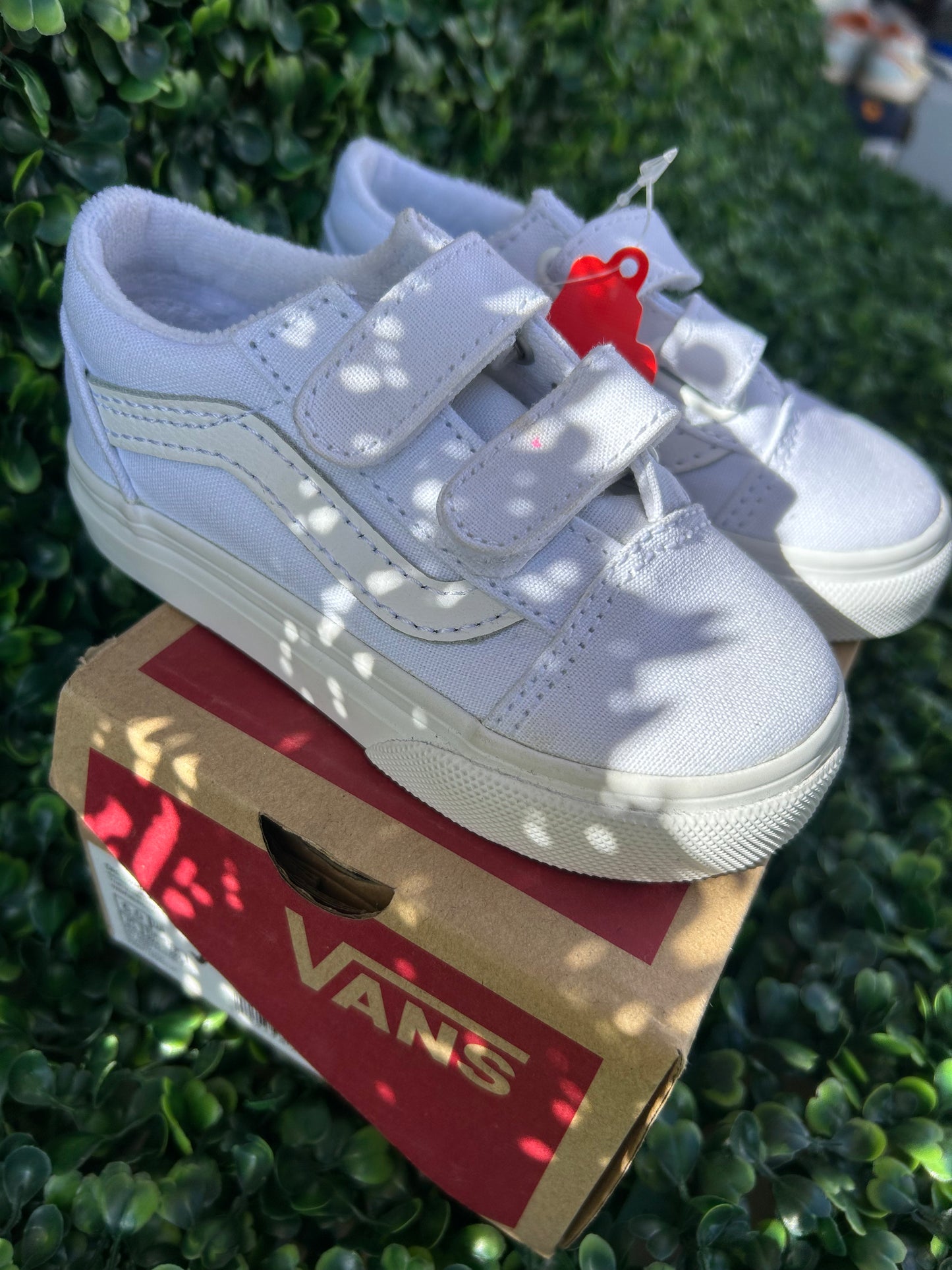Vans size 6t