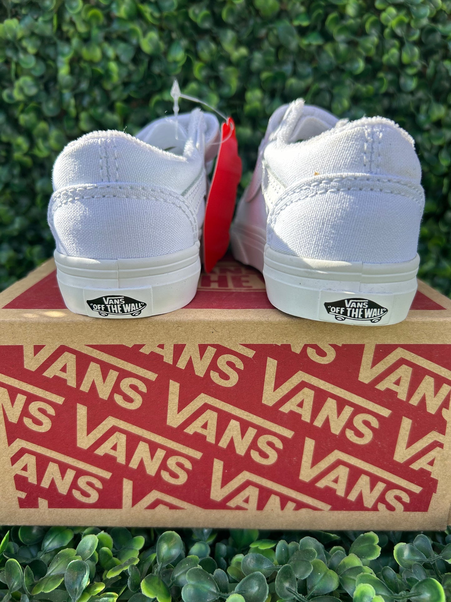 Vans size 6t