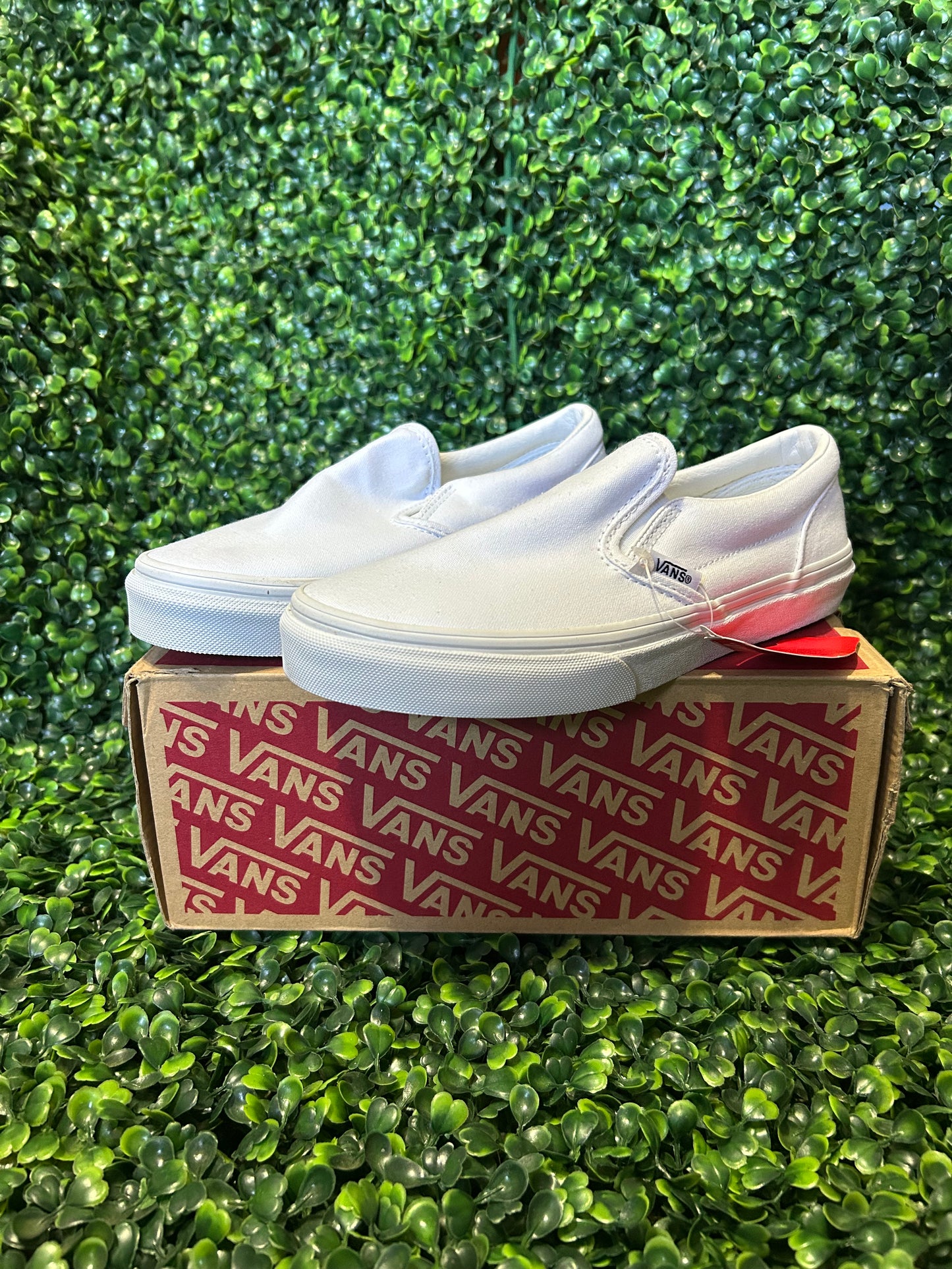 Vans size 3.5y