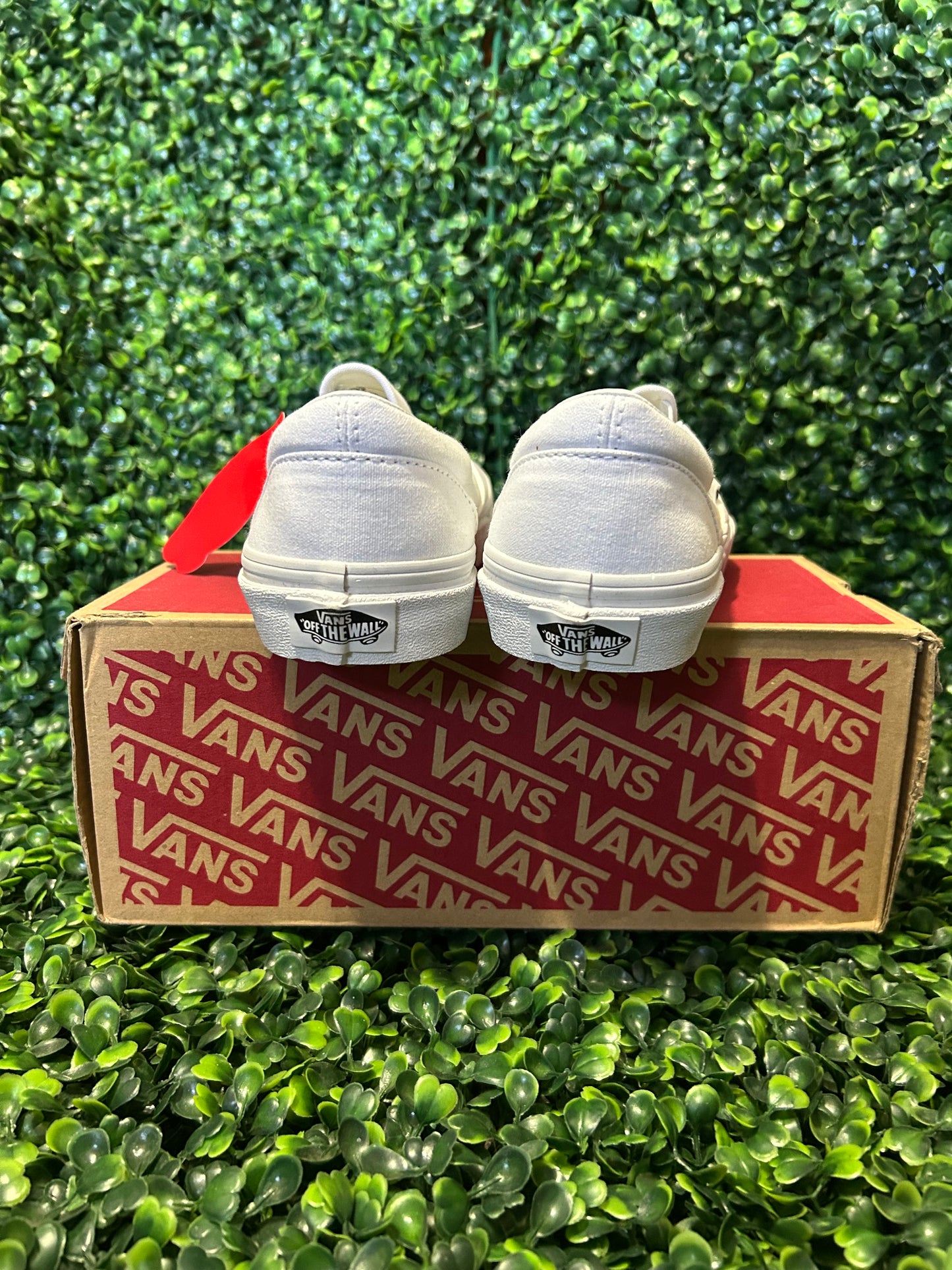 Vans size 3.5y