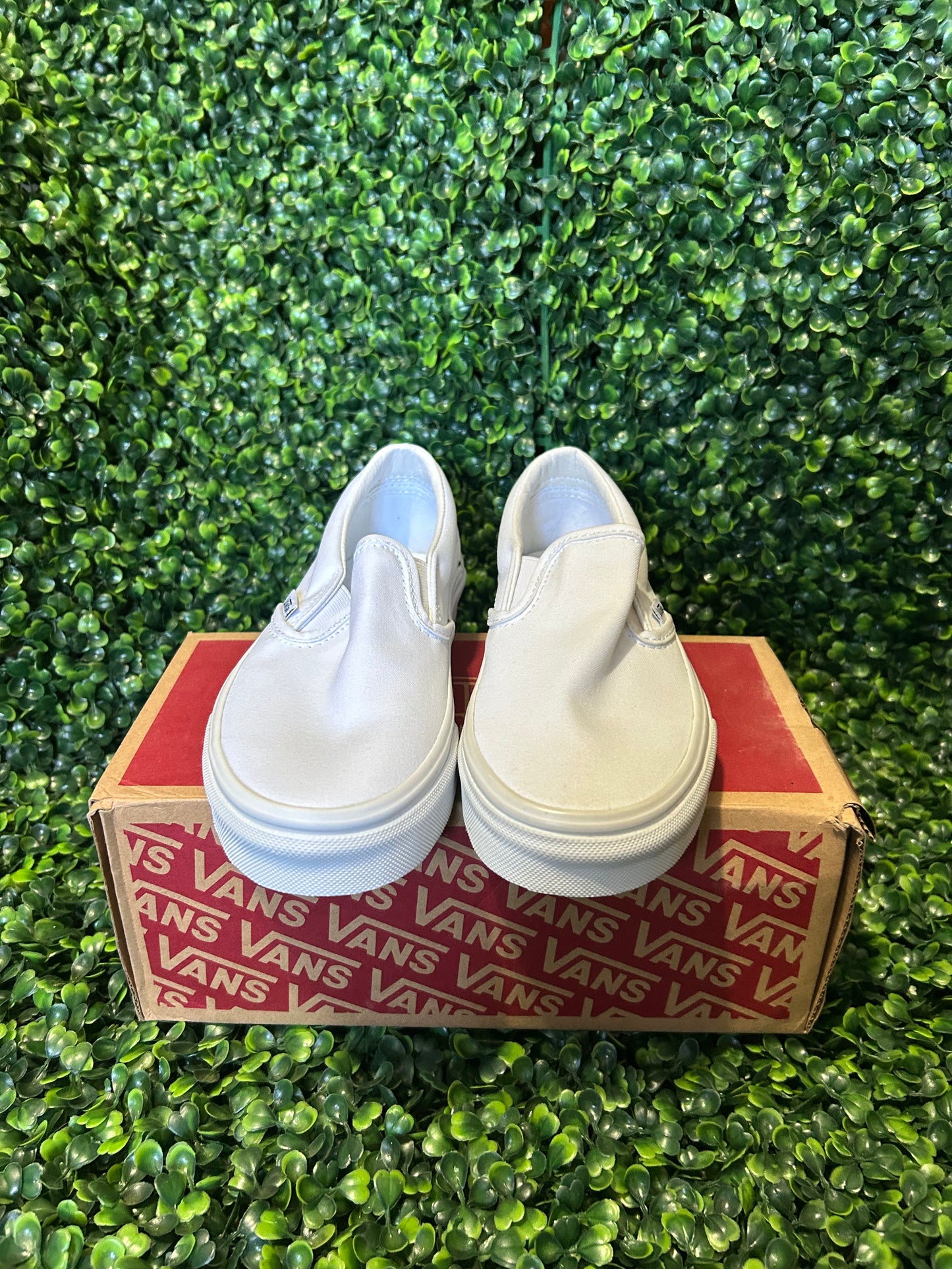 Vans size 3.5y