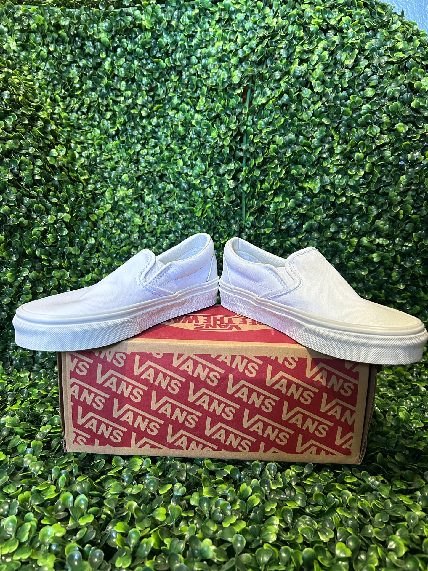 Vans size 3.5y