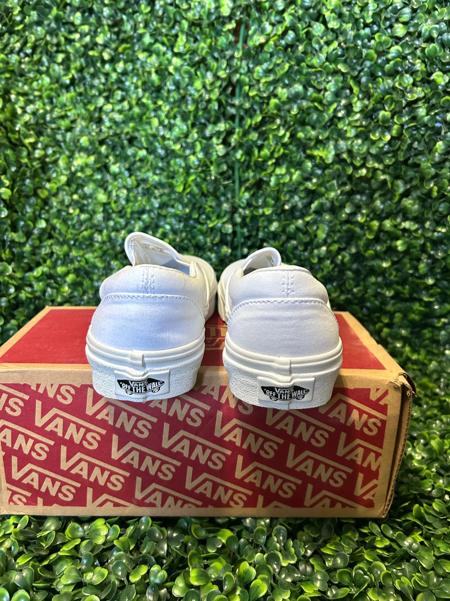 Vans size 3.5y