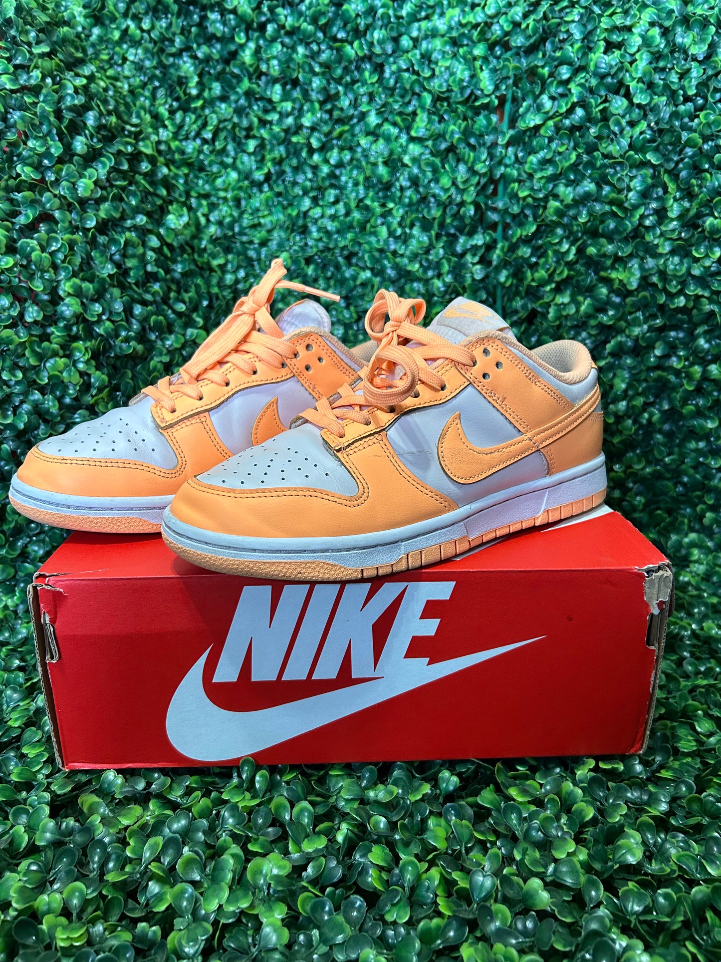 Nike dunk size 5.5m/7w