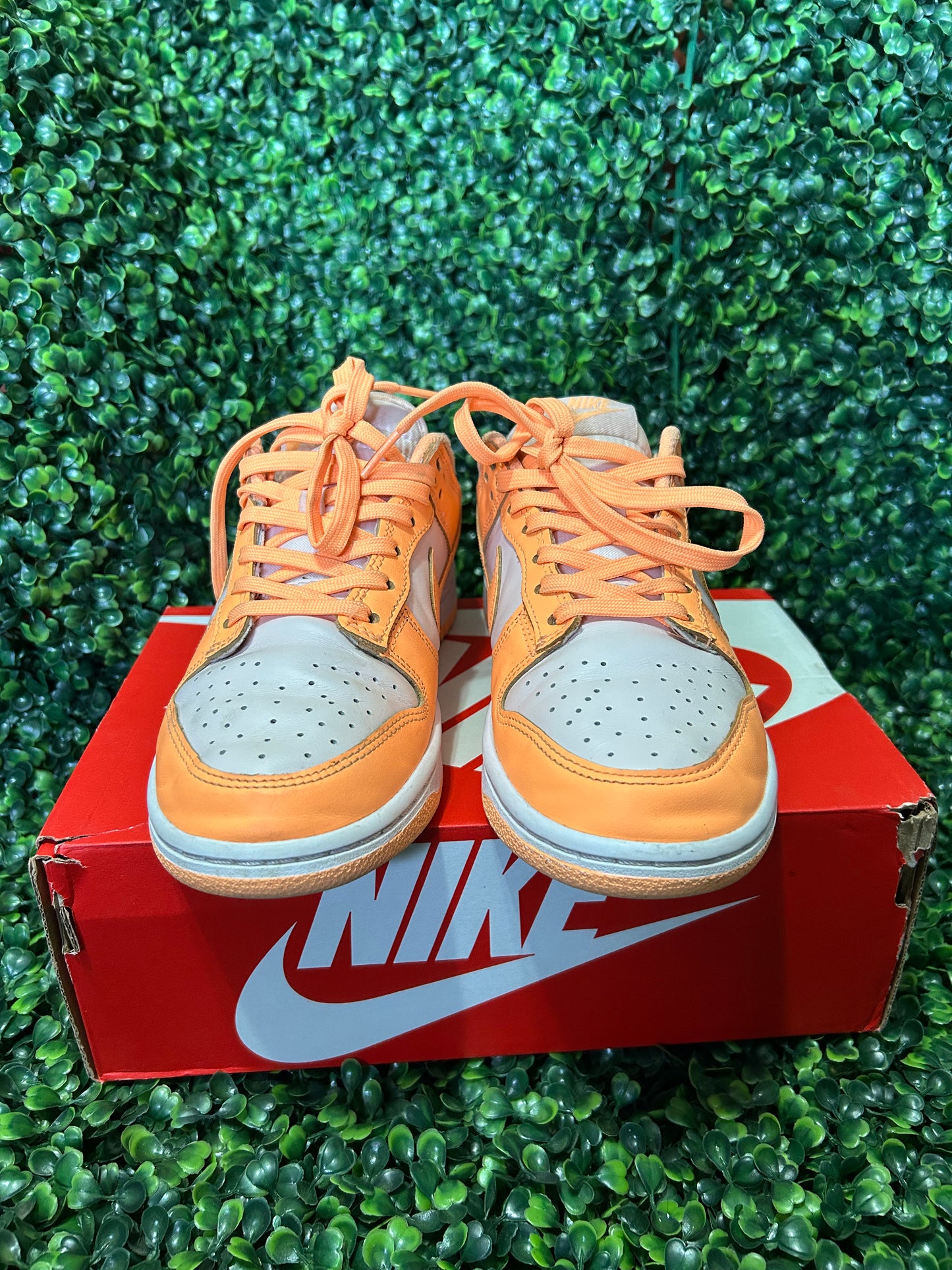 Nike dunk size 5.5m/7w