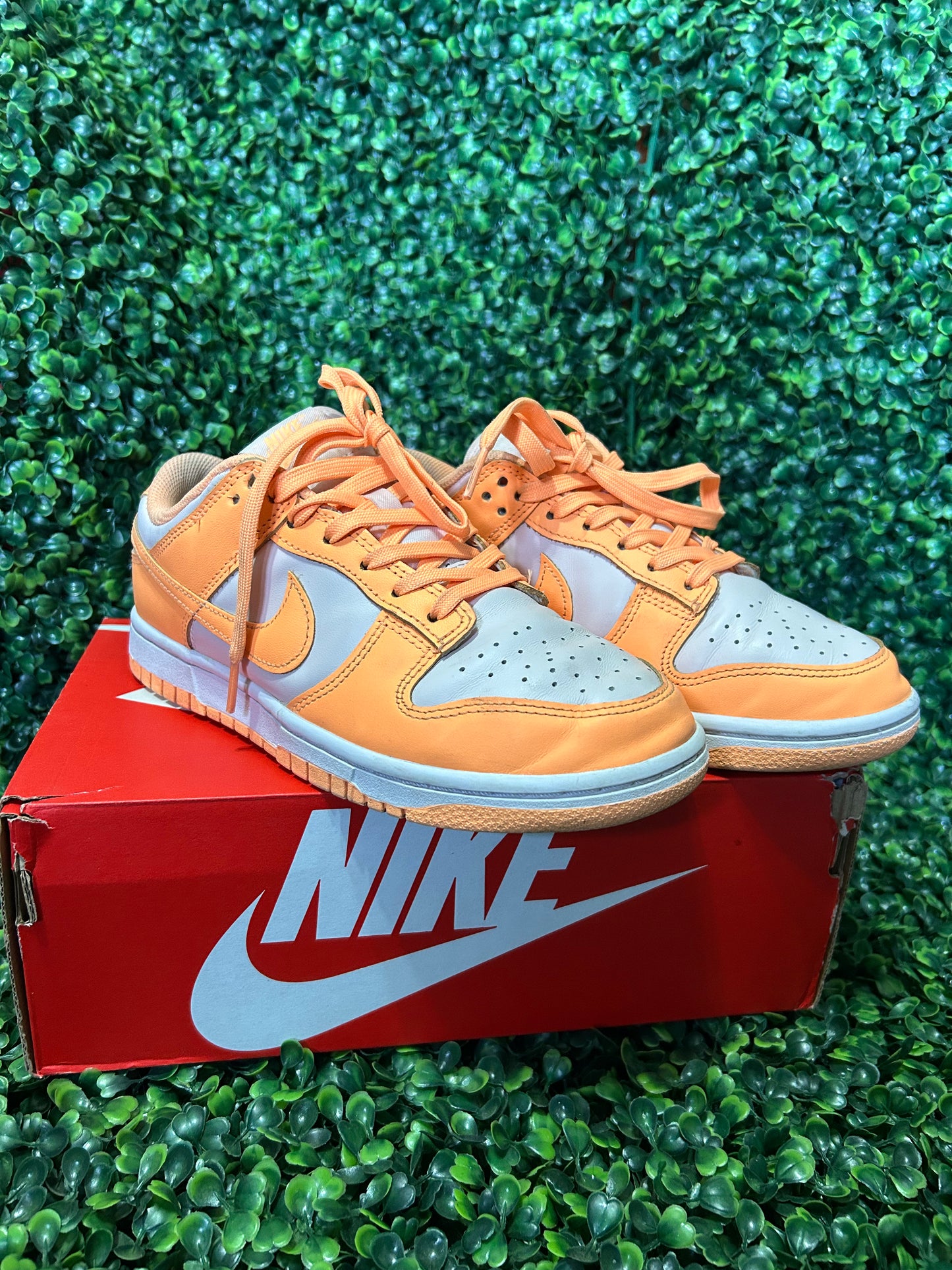 Nike dunk size 5.5m/7w