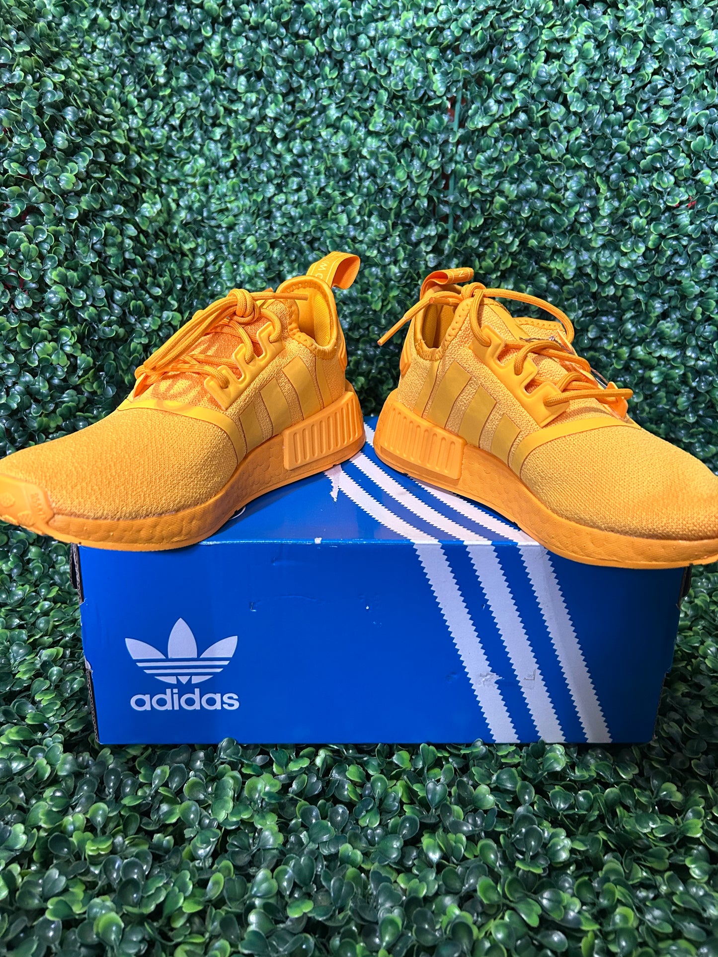 Adidas size 6.5m