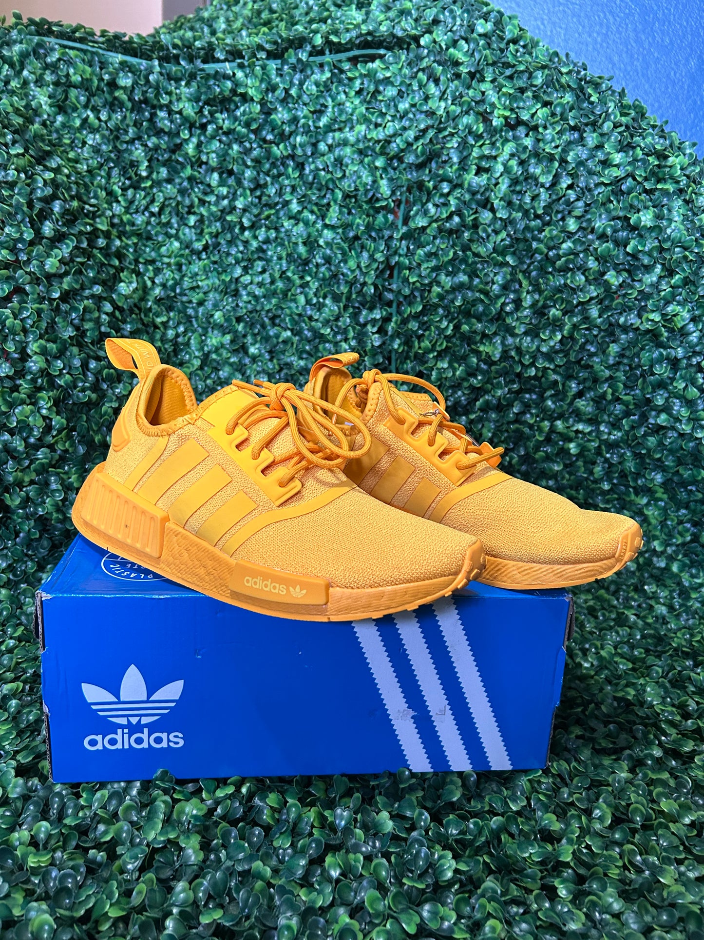 Adidas size 6.5m