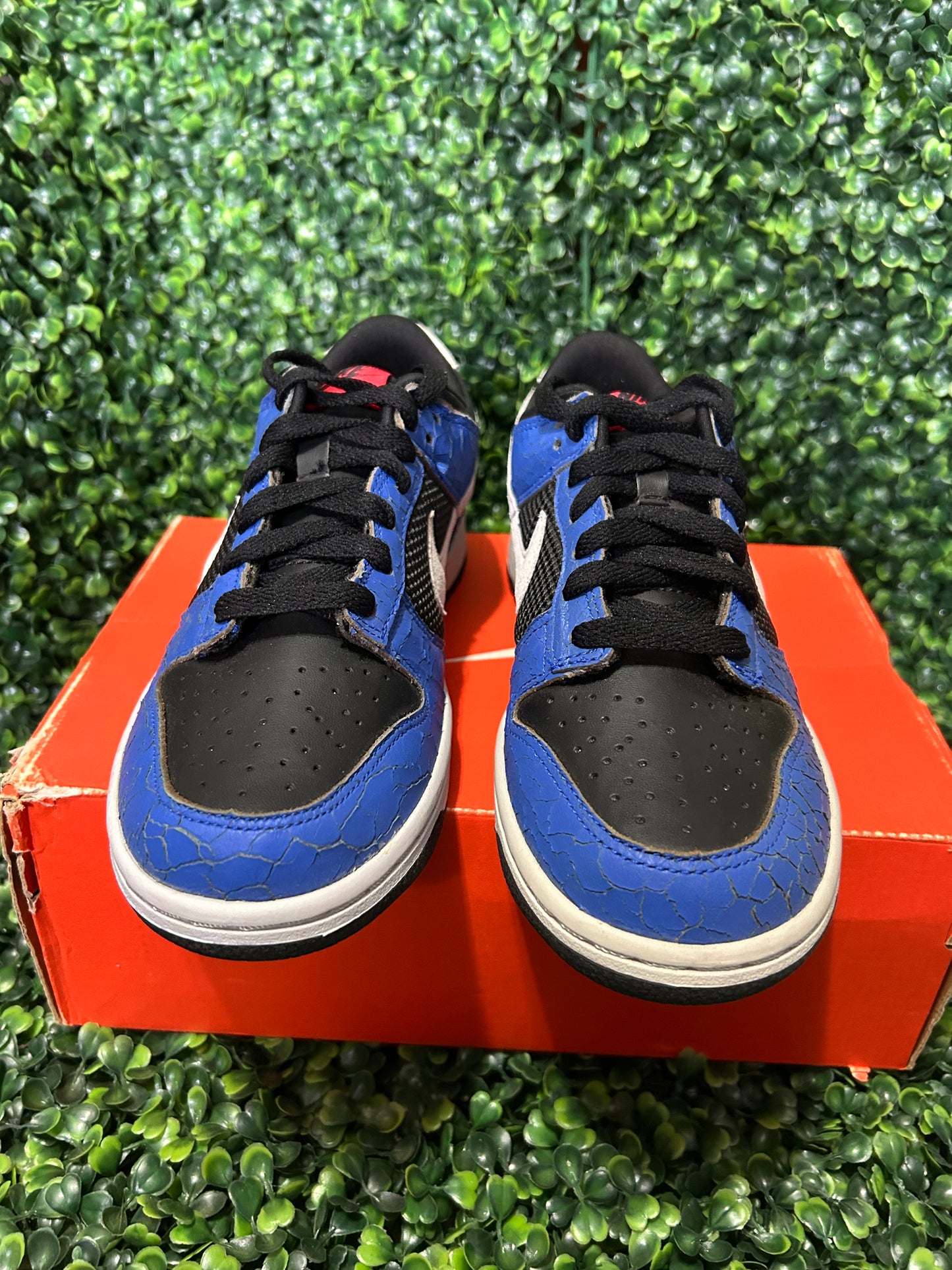Nike dunk low size 6y