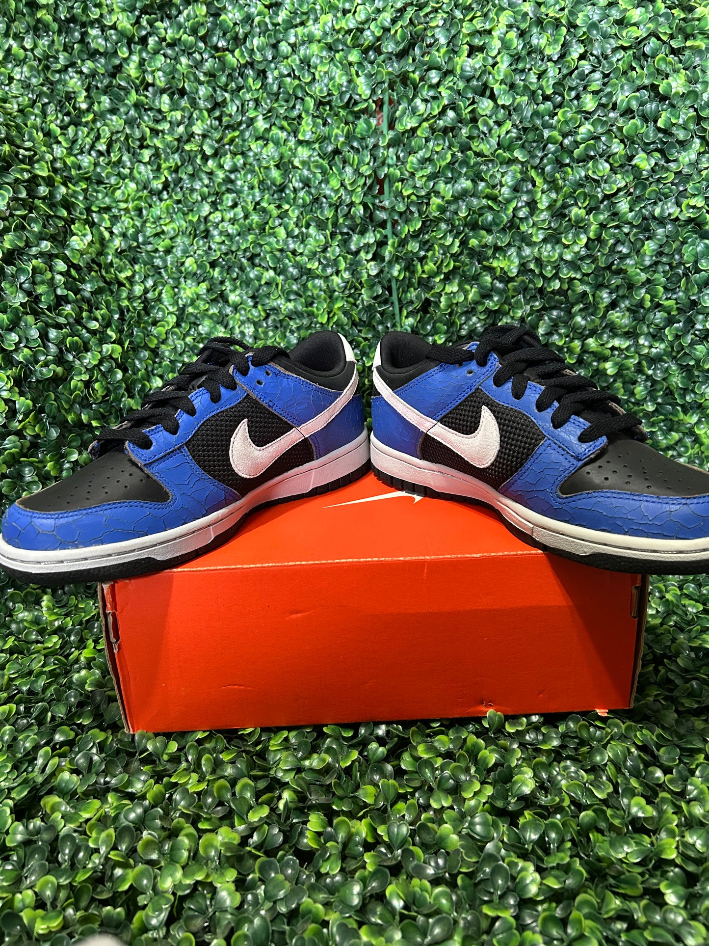Nike dunk low size 6y