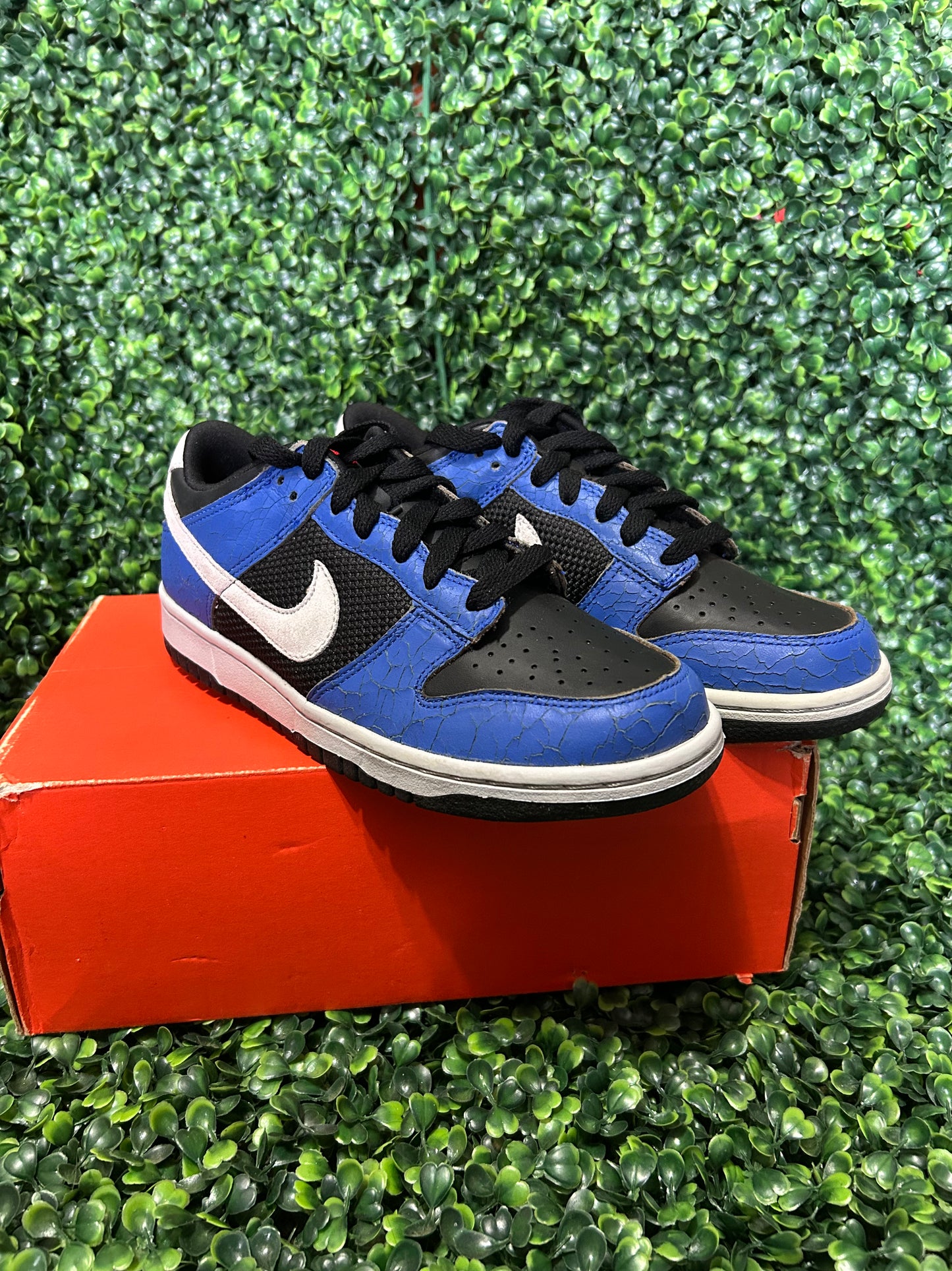 Nike dunk low size 6y