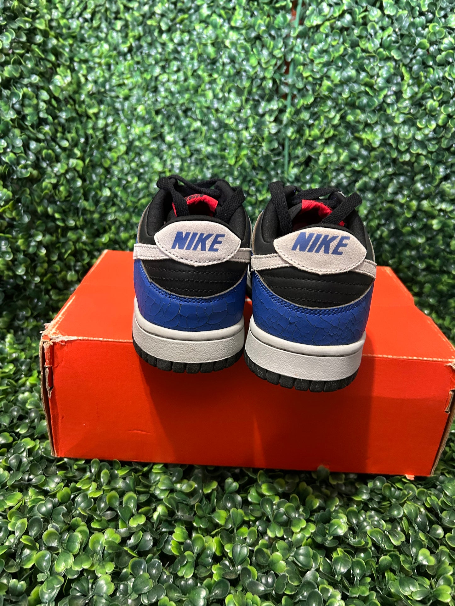 Nike dunk low size 6y