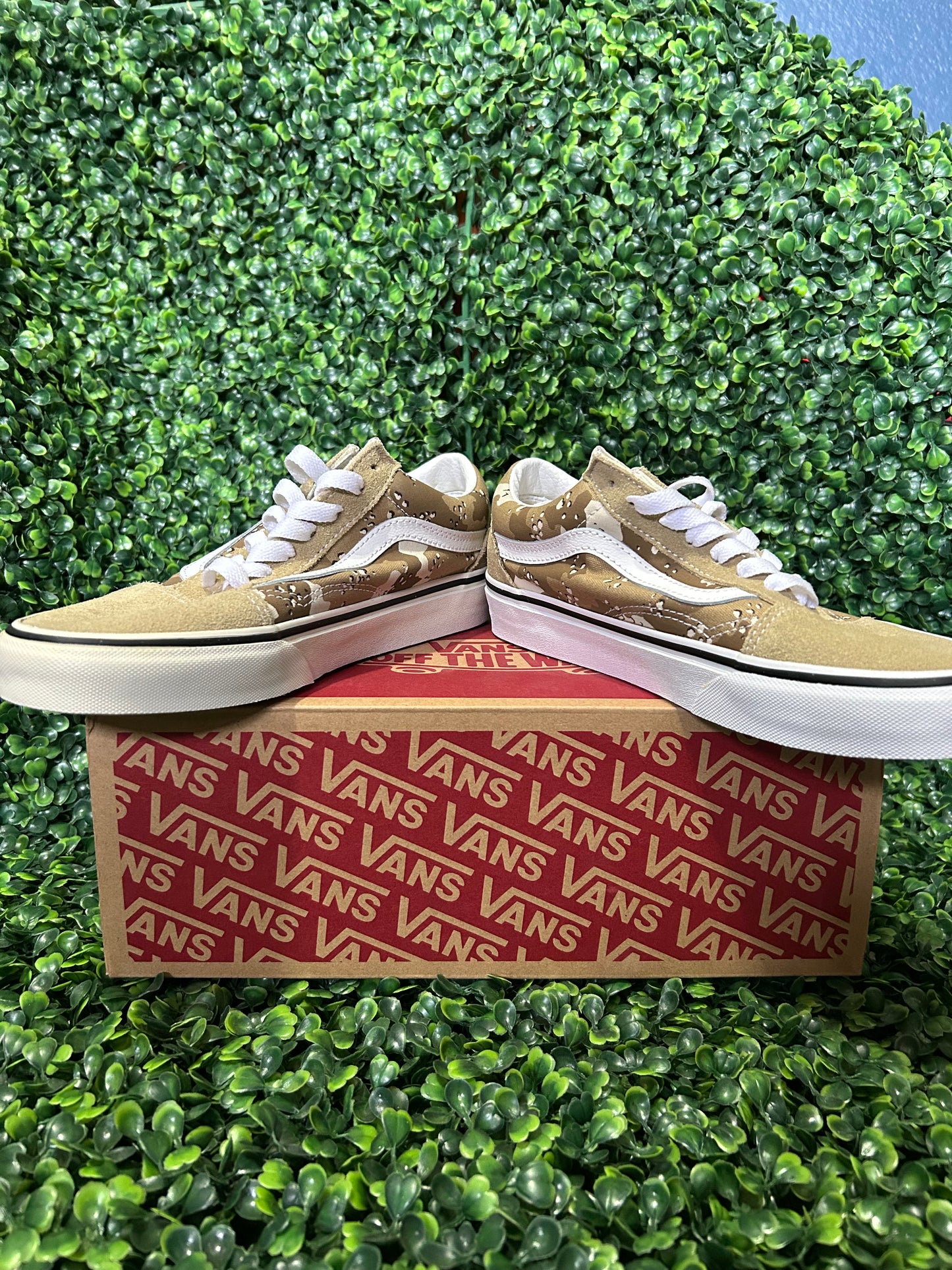 Vans (read description)