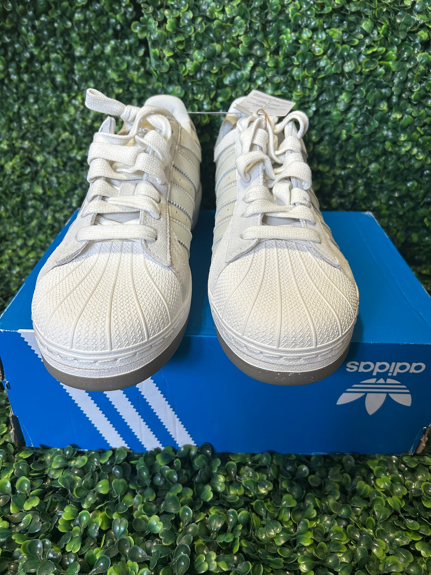 Adidas superstar size 10w