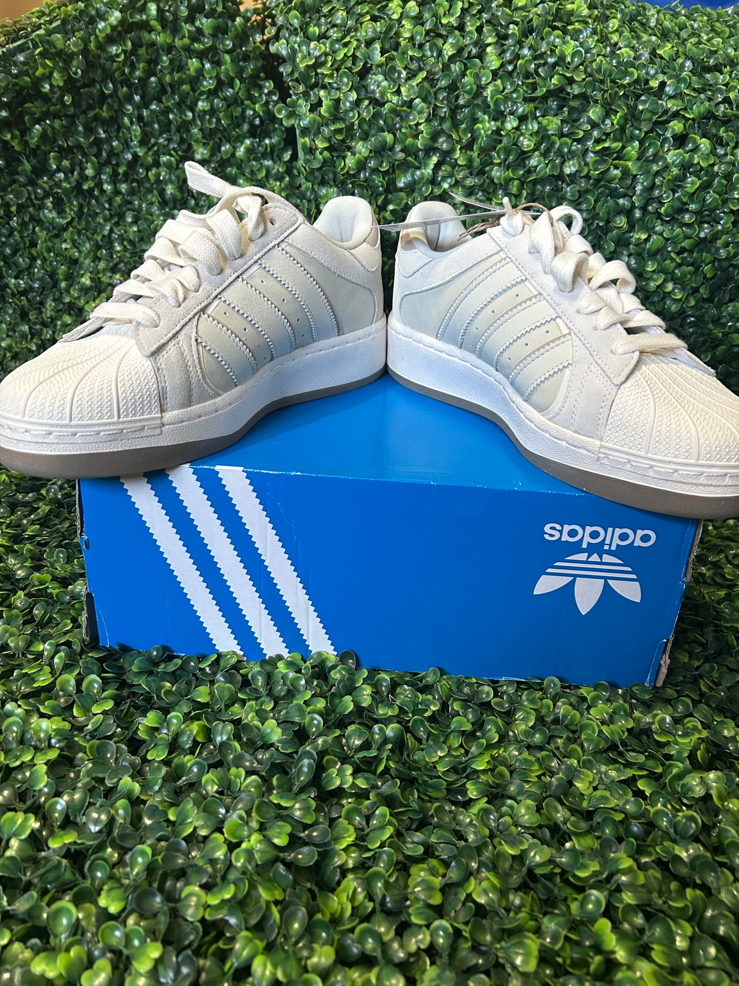 Adidas superstar size 10w