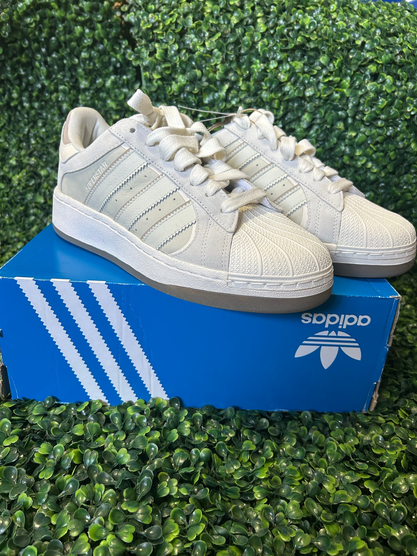 Adidas superstar size 10w