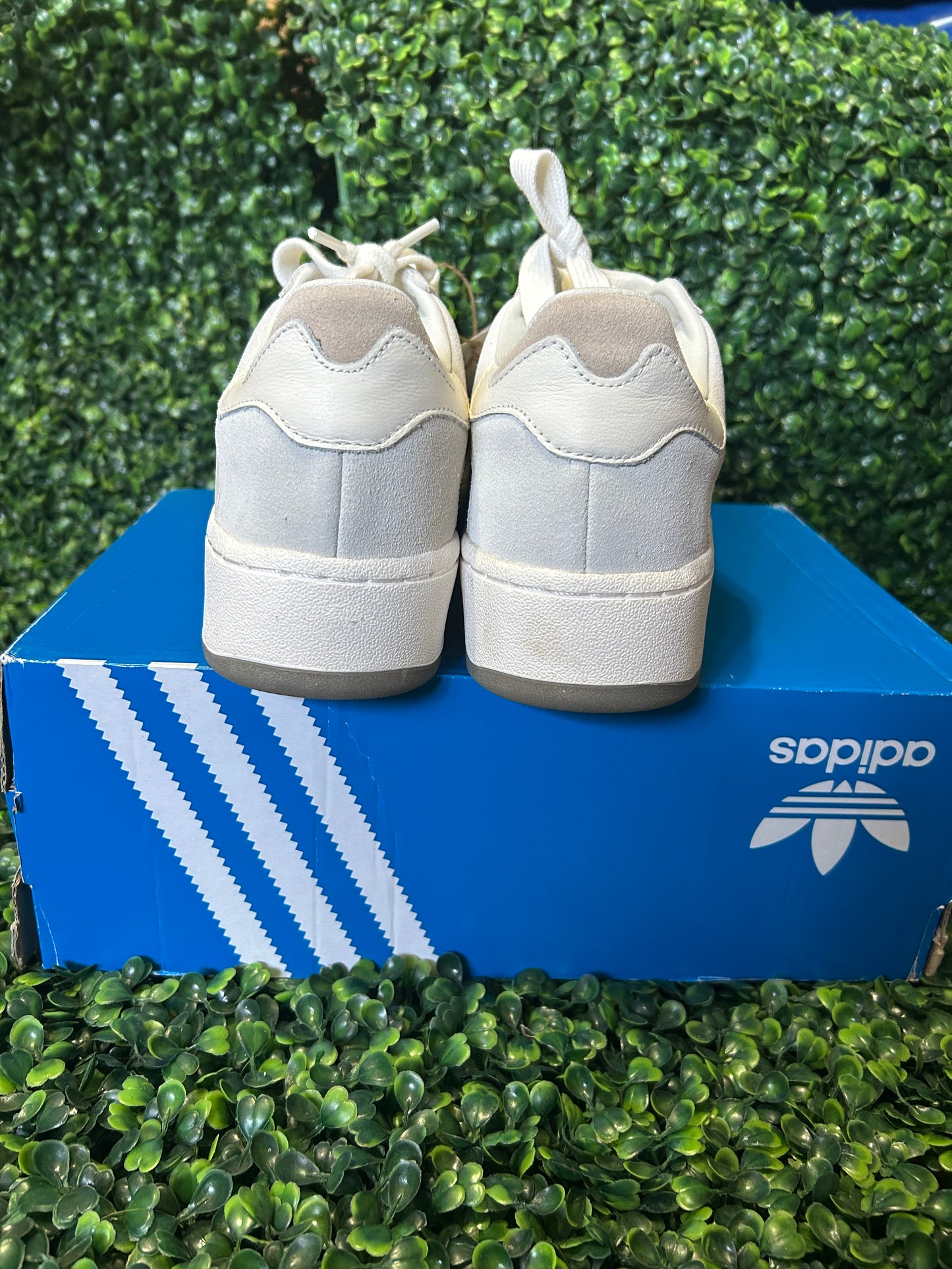 Adidas superstar size 10w