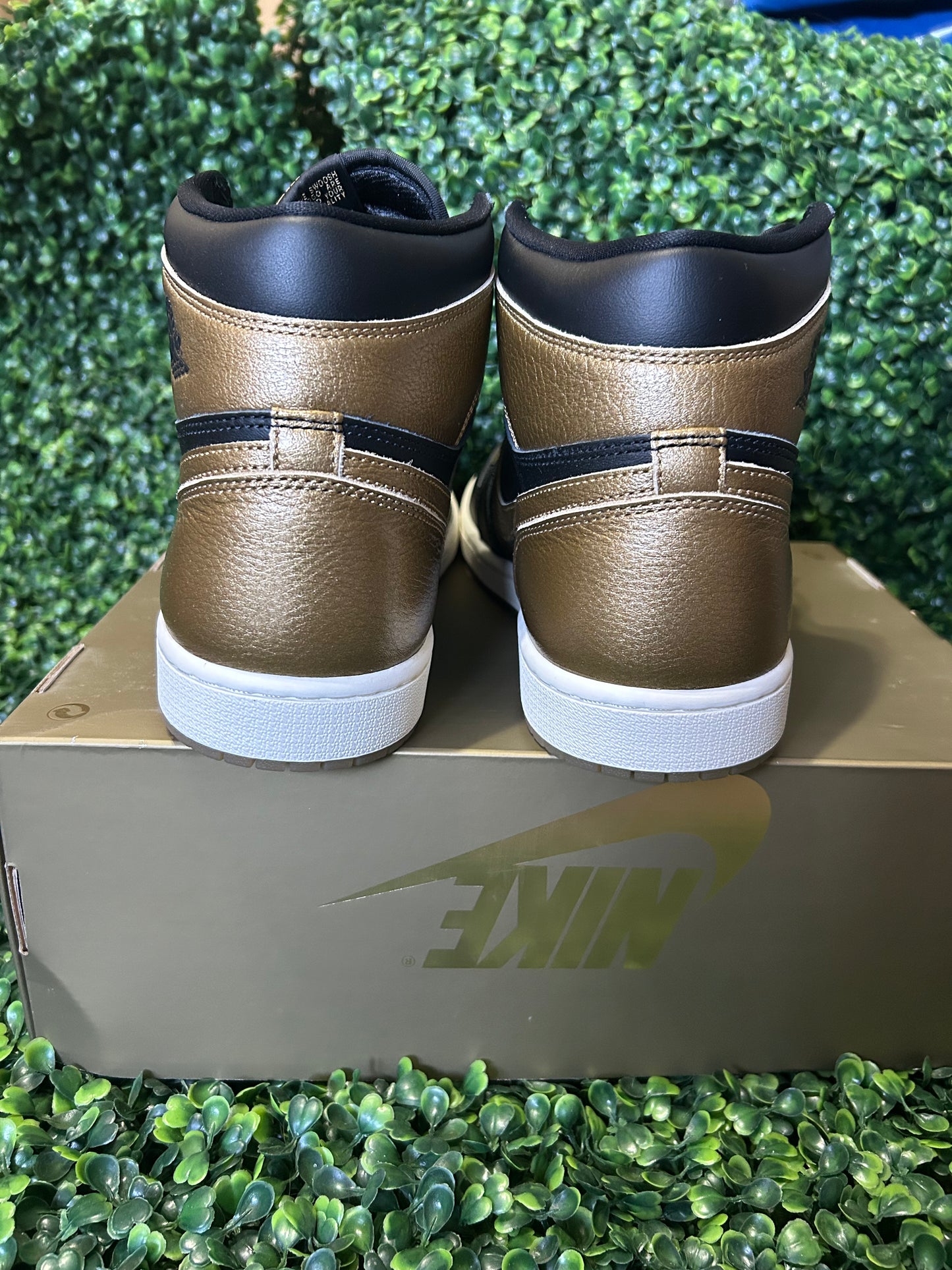 Jordan 1 size 10.5