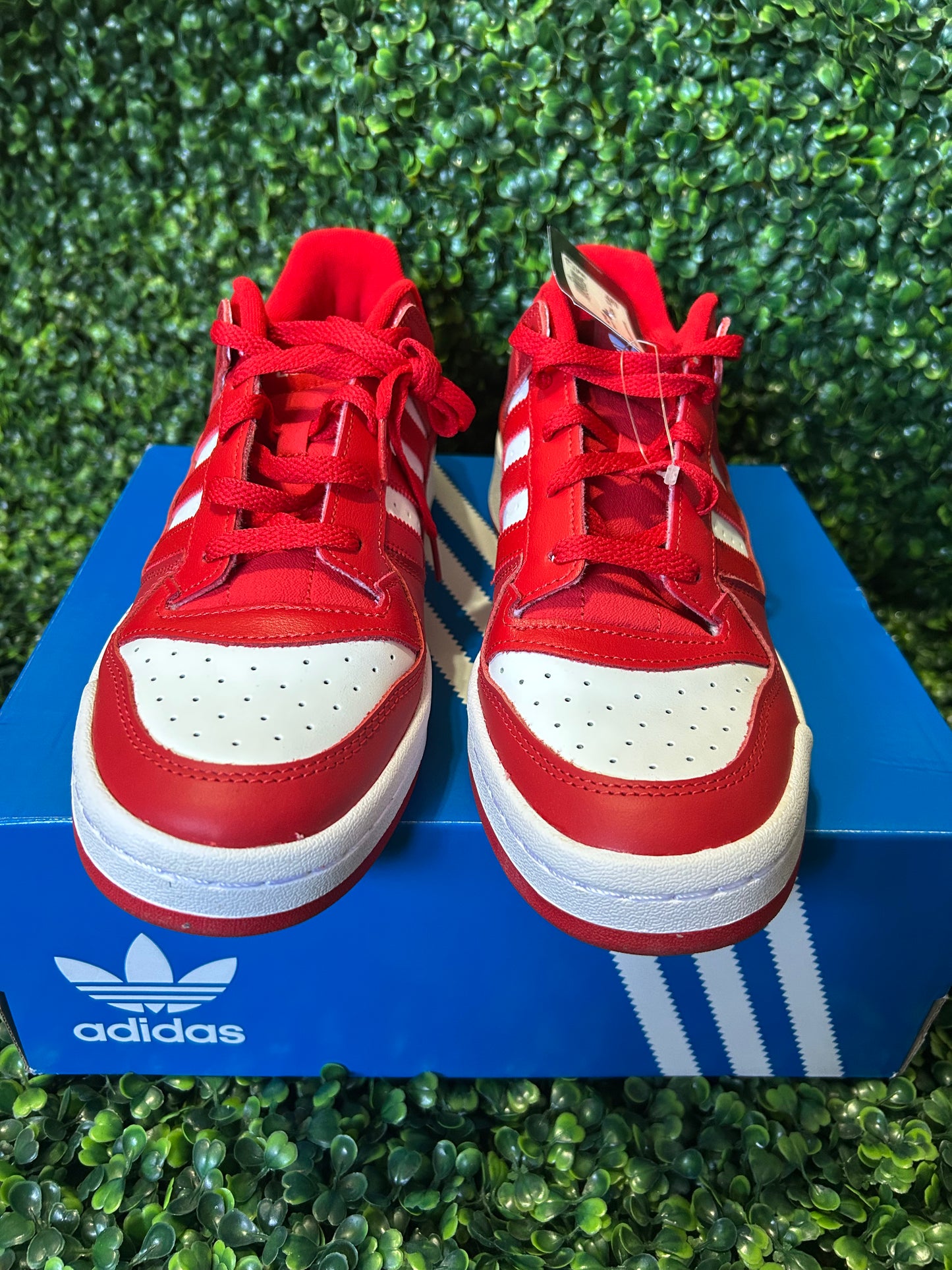 Adidas forum size 8.5/9/10.5